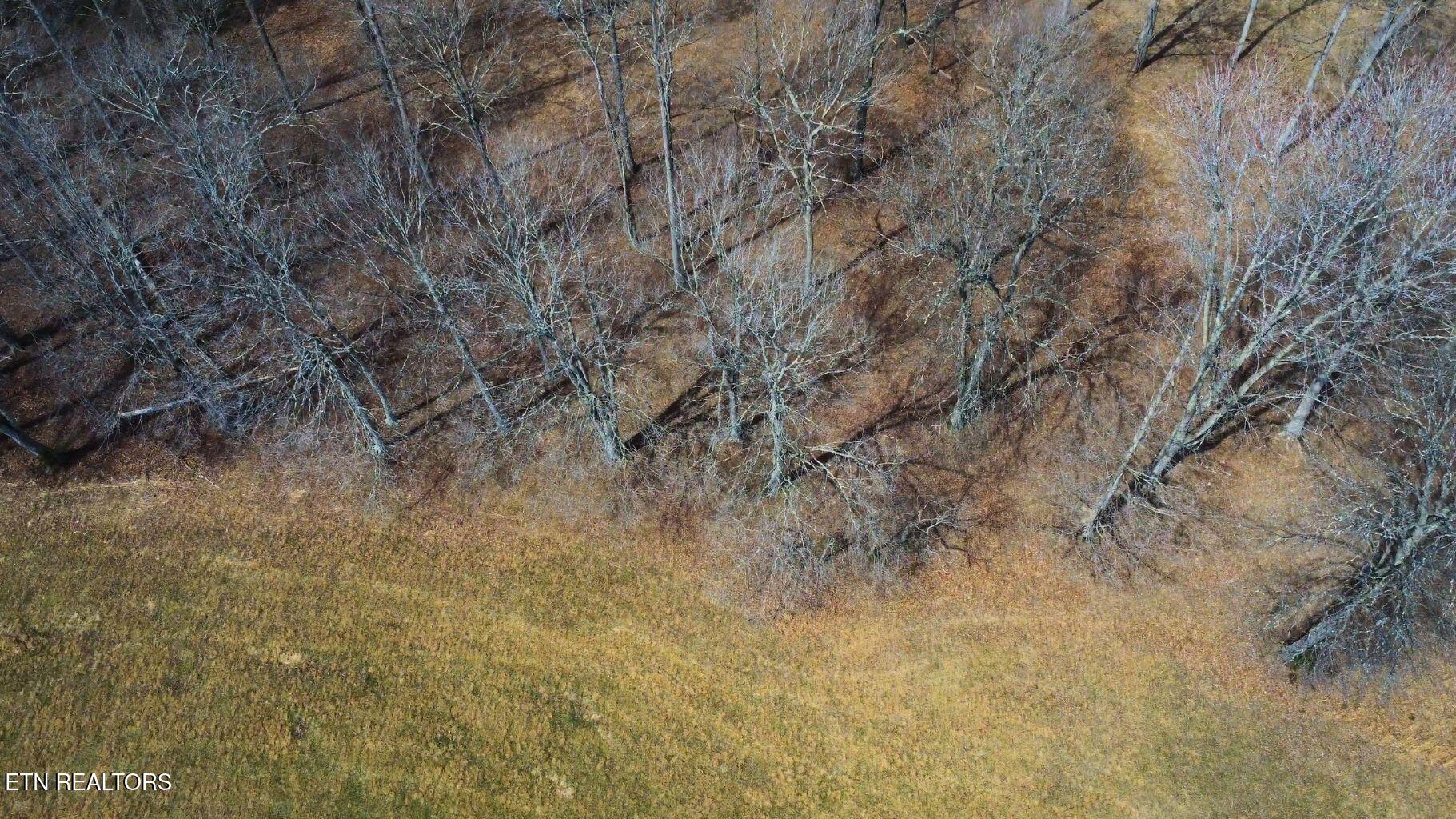 Norris Lake Real Estate - Image# 20
