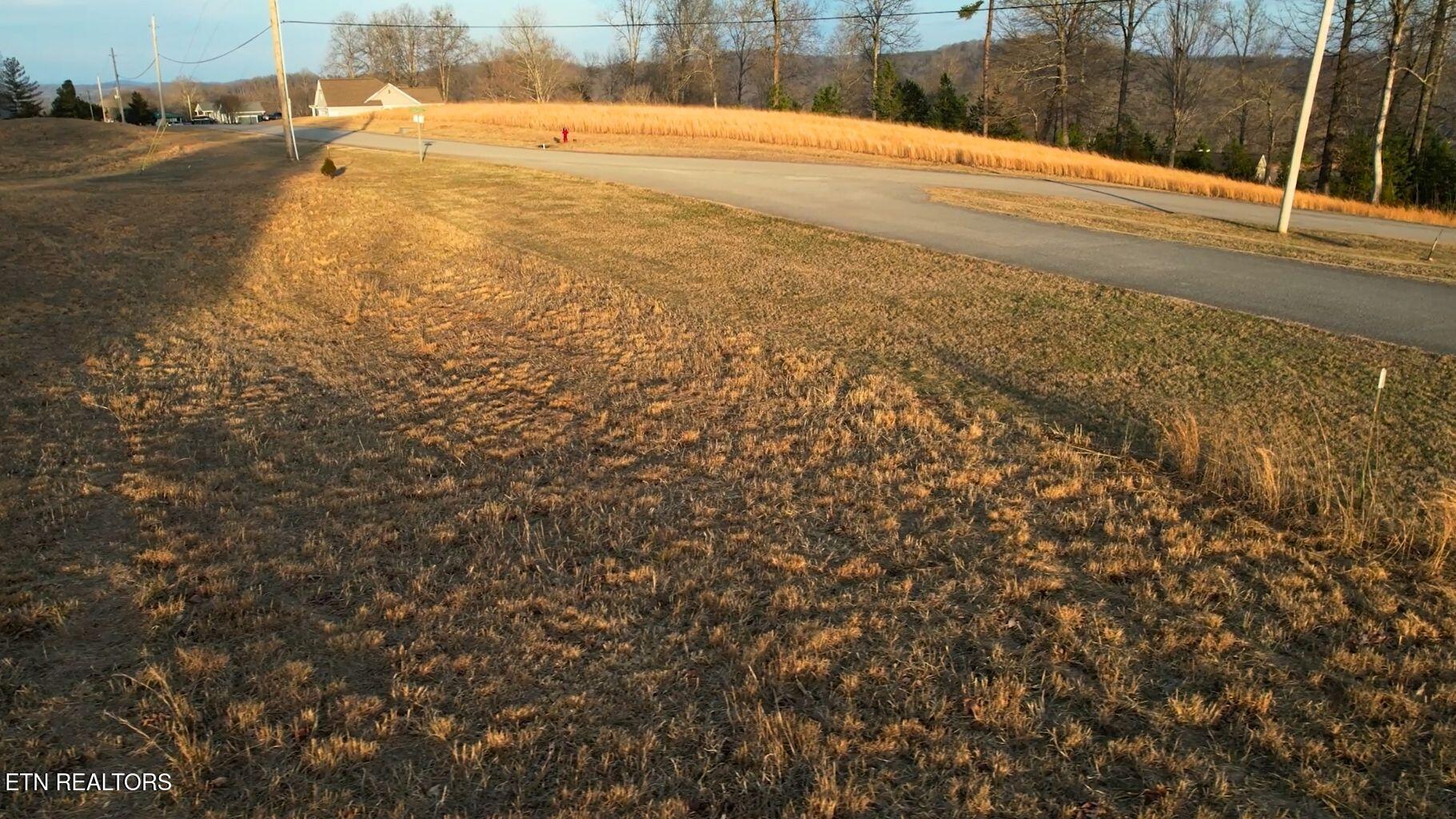 Norris Lake Real Estate - Image# 3