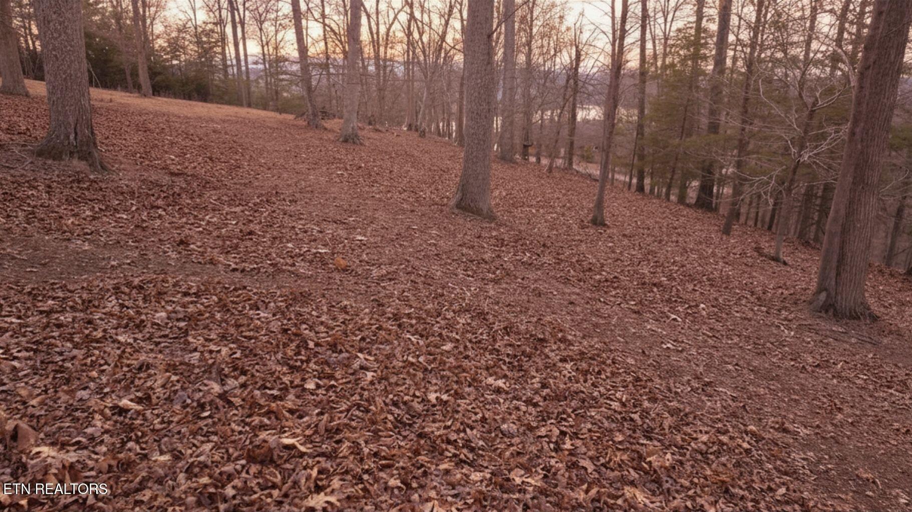 Norris Lake Real Estate - Image# 10