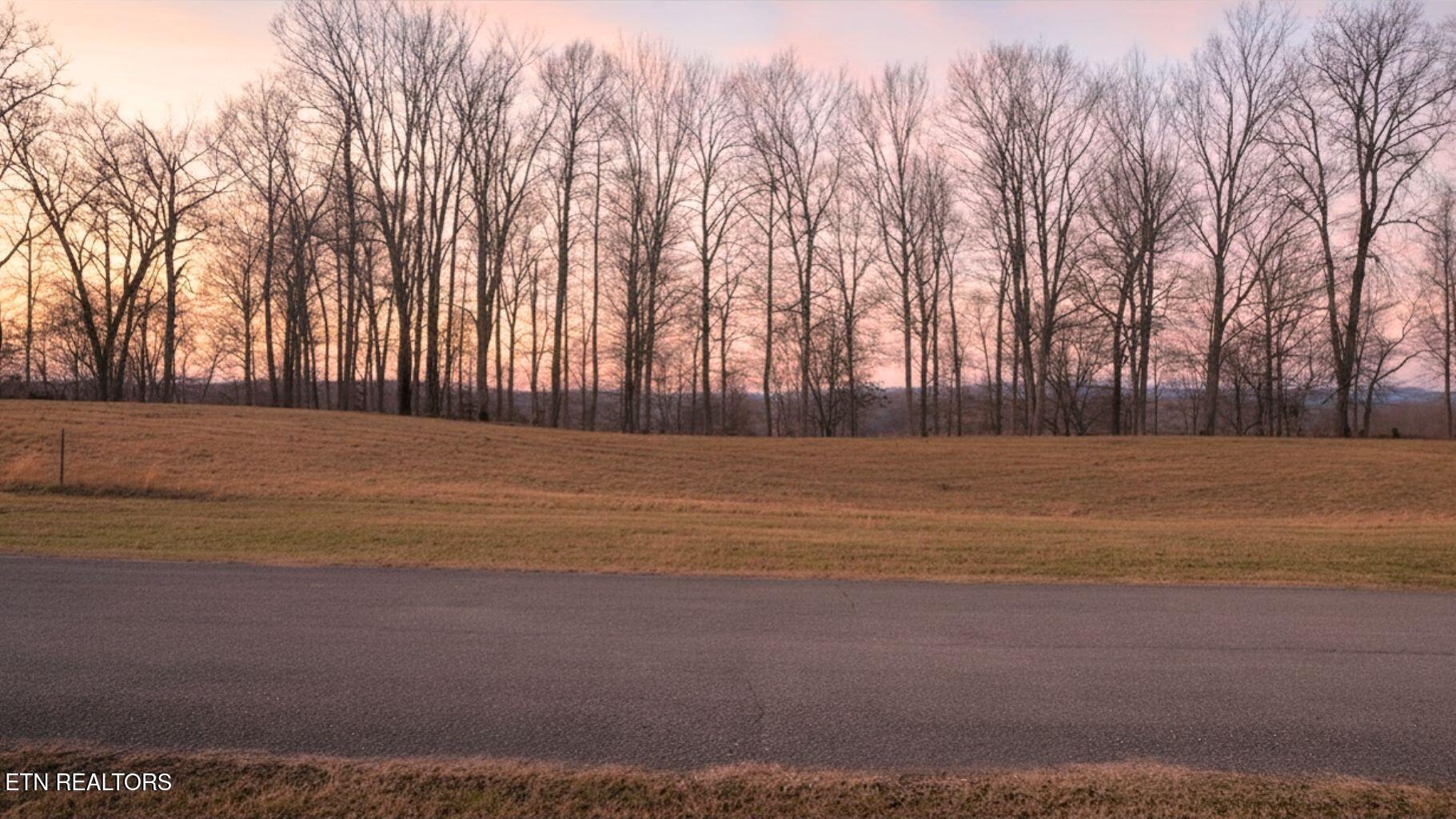 Norris Lake Real Estate - Image# 24