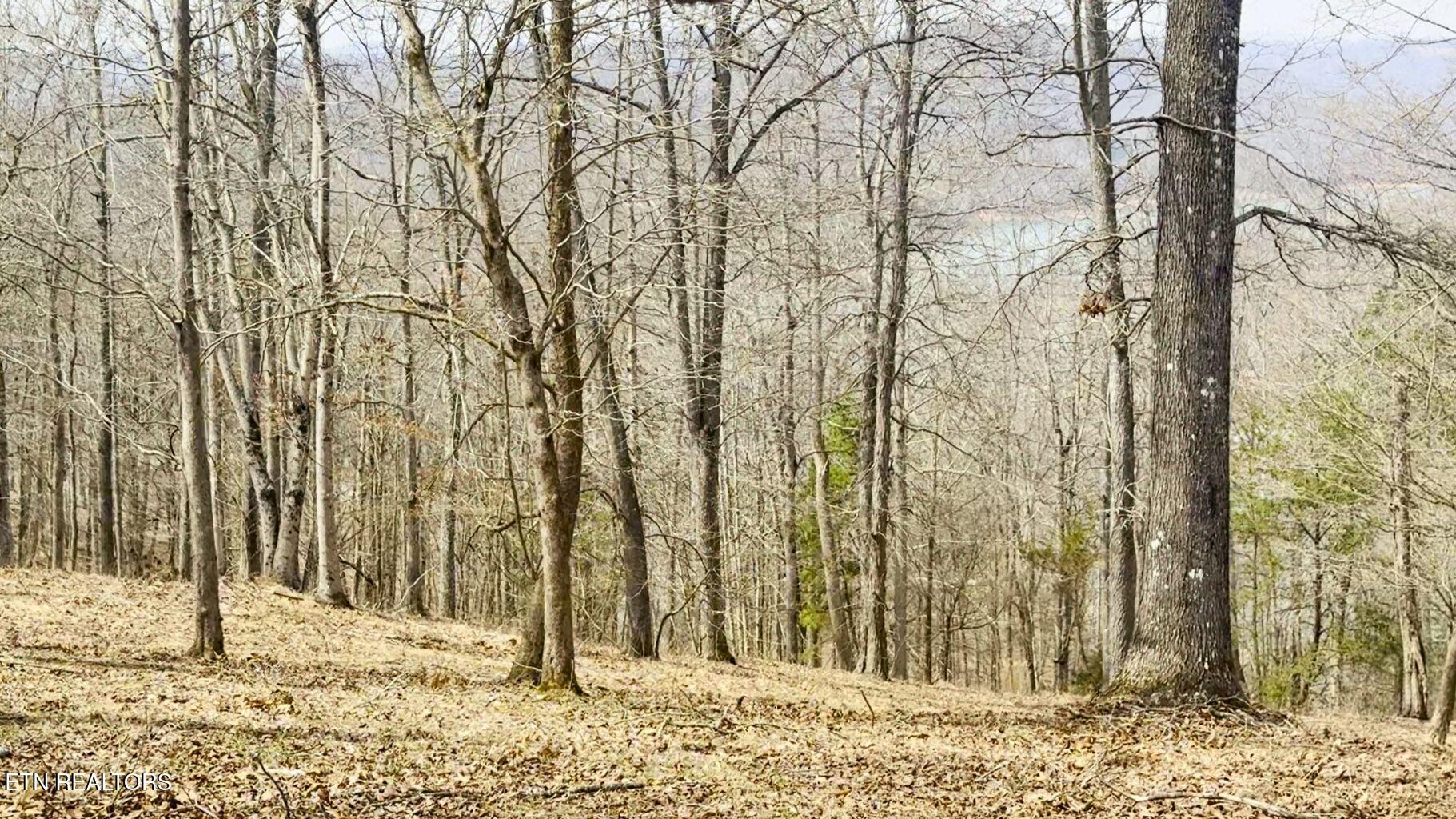 Norris Lake Real Estate - Image# 22