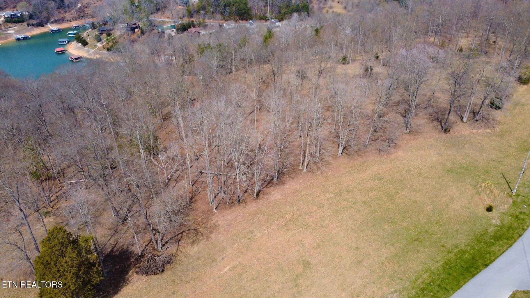 Norris Lake Real Estate - Image# 23