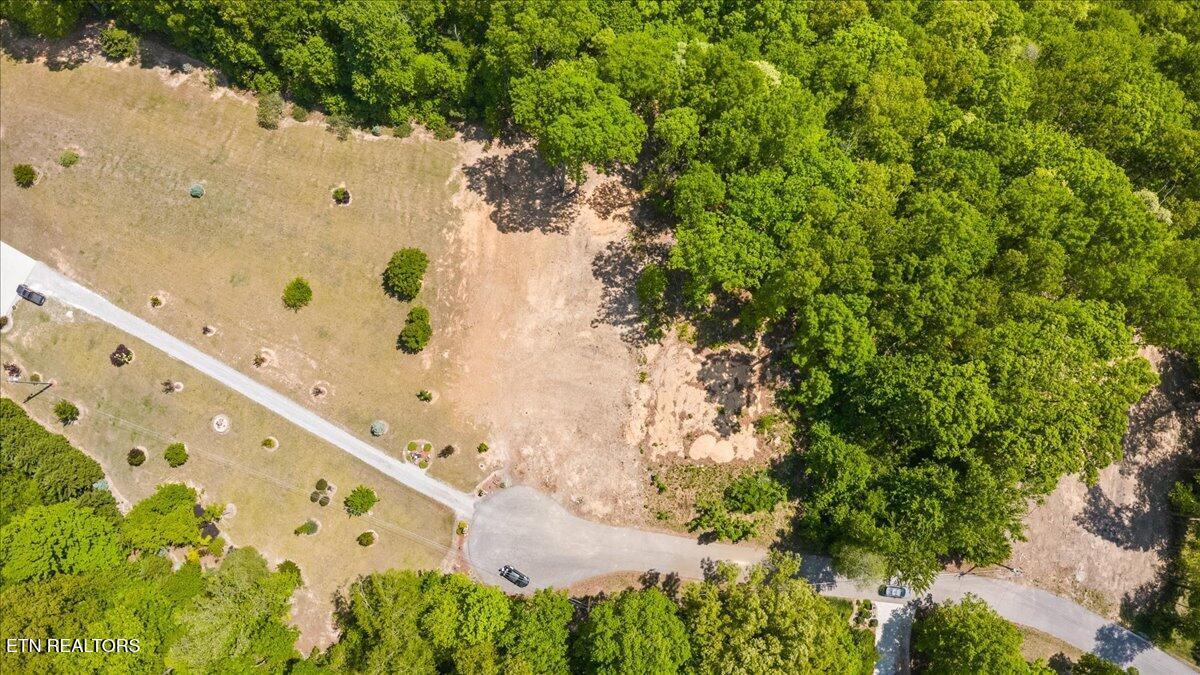 Cheri Lane, Caryville, TN - Norris Lake Real Estate - Image# 1