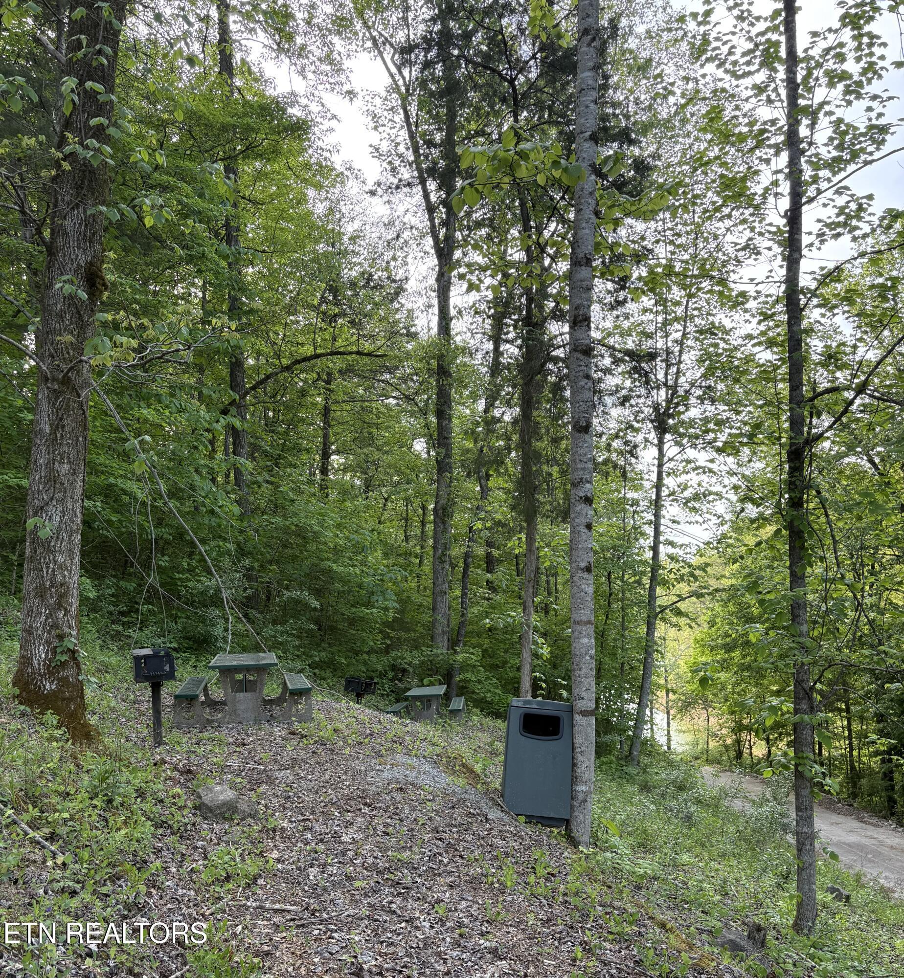 Norris Lake Real Estate - Image# 15