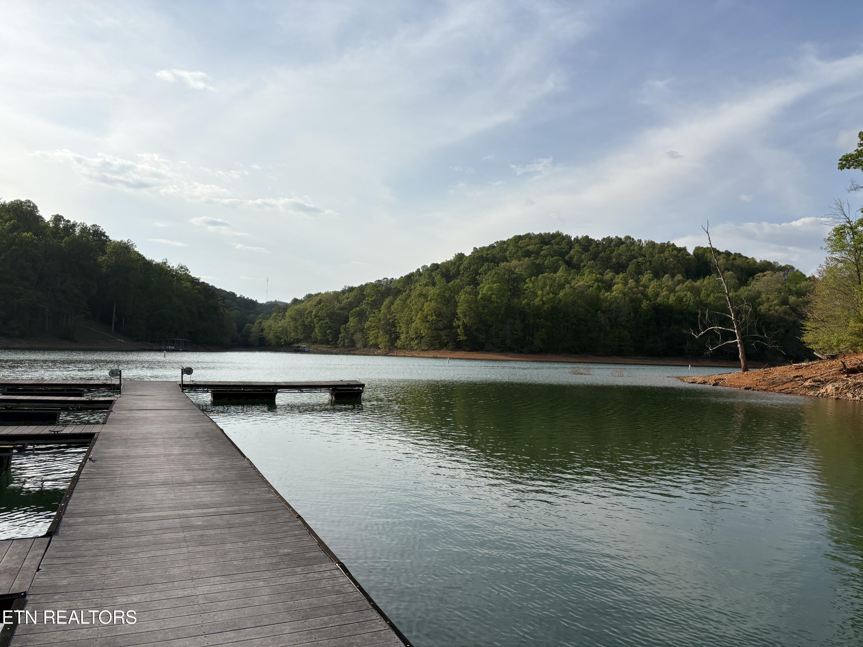 Norris Lake Real Estate - Image# 10