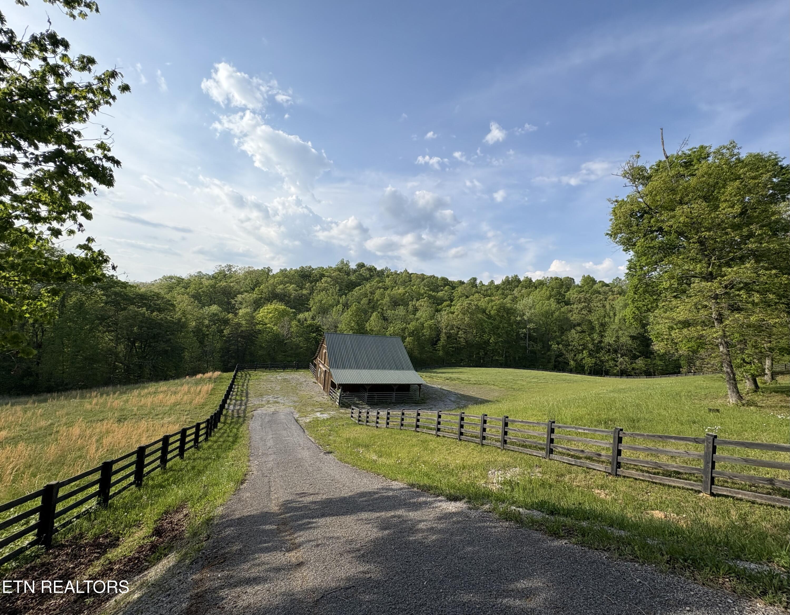 Norris Lake Real Estate - Image# 11