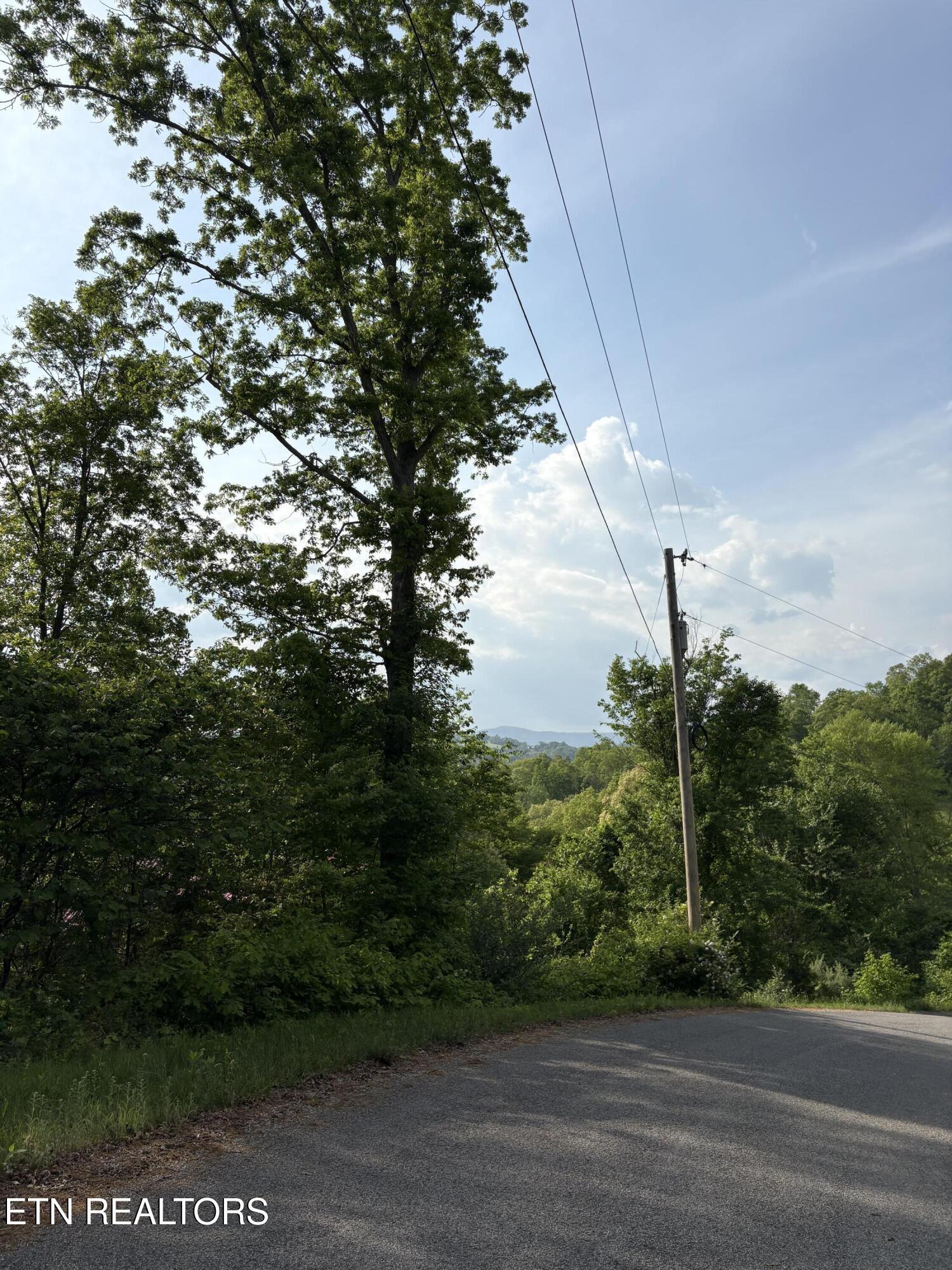 Norris Lake Real Estate - Image# 4