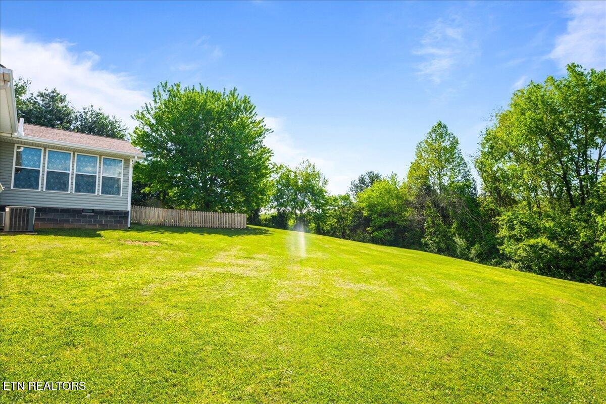 1178 Powell Valley Shores Circle, Speedwell, TN - Norris Lake Real Estate - Image# 47
