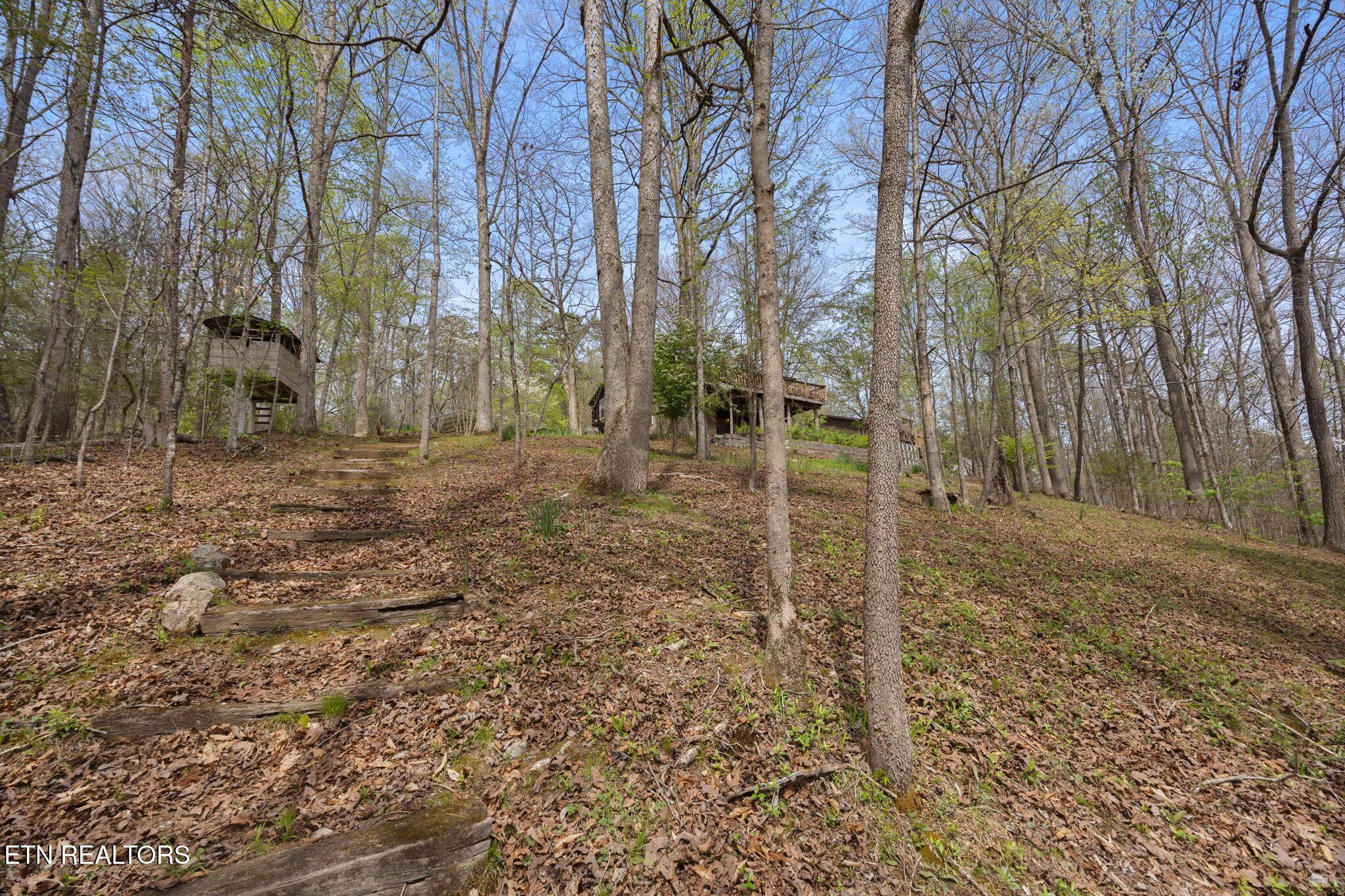 258 Marina Lane, Lafollette, TN - Norris Lake Real Estate - Image# 40