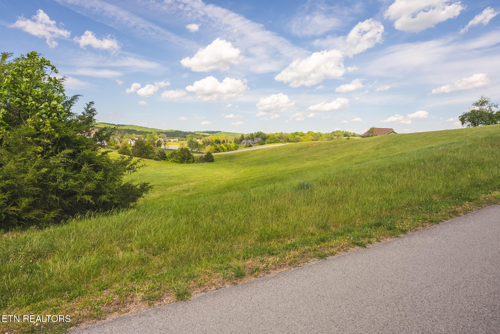 Norris Lake Real Estate - Image# 6