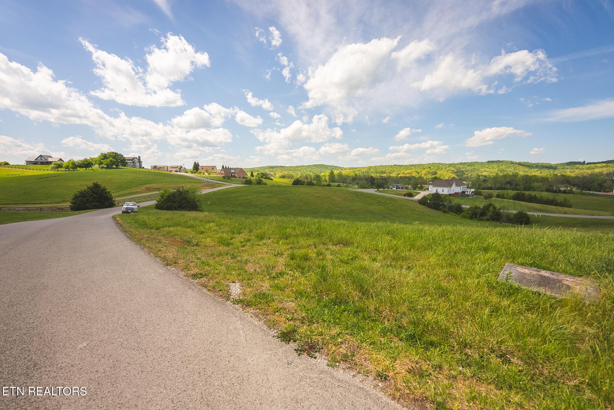 Norris Lake Real Estate - Image# 9