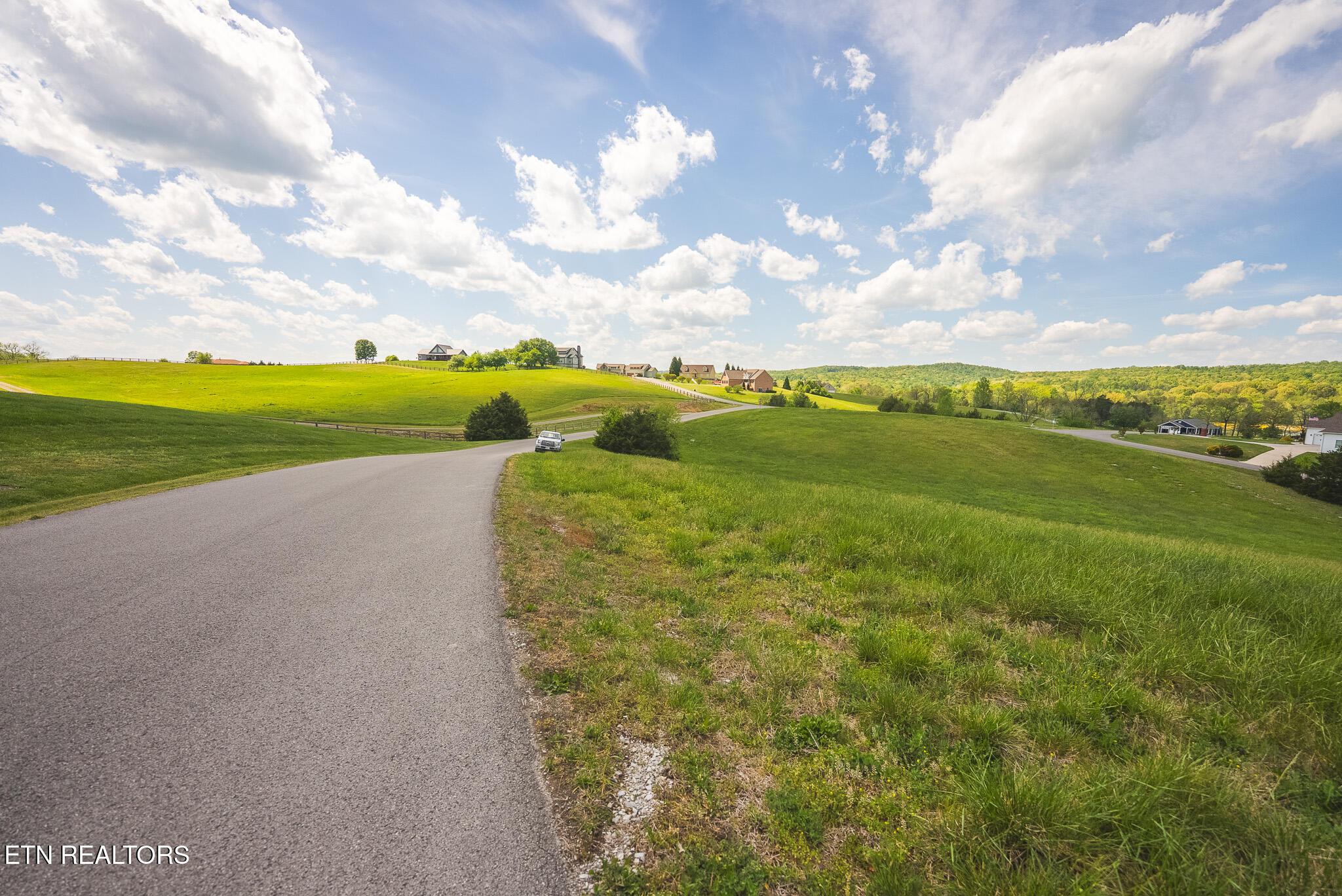 Norris Lake Real Estate - Image# 10