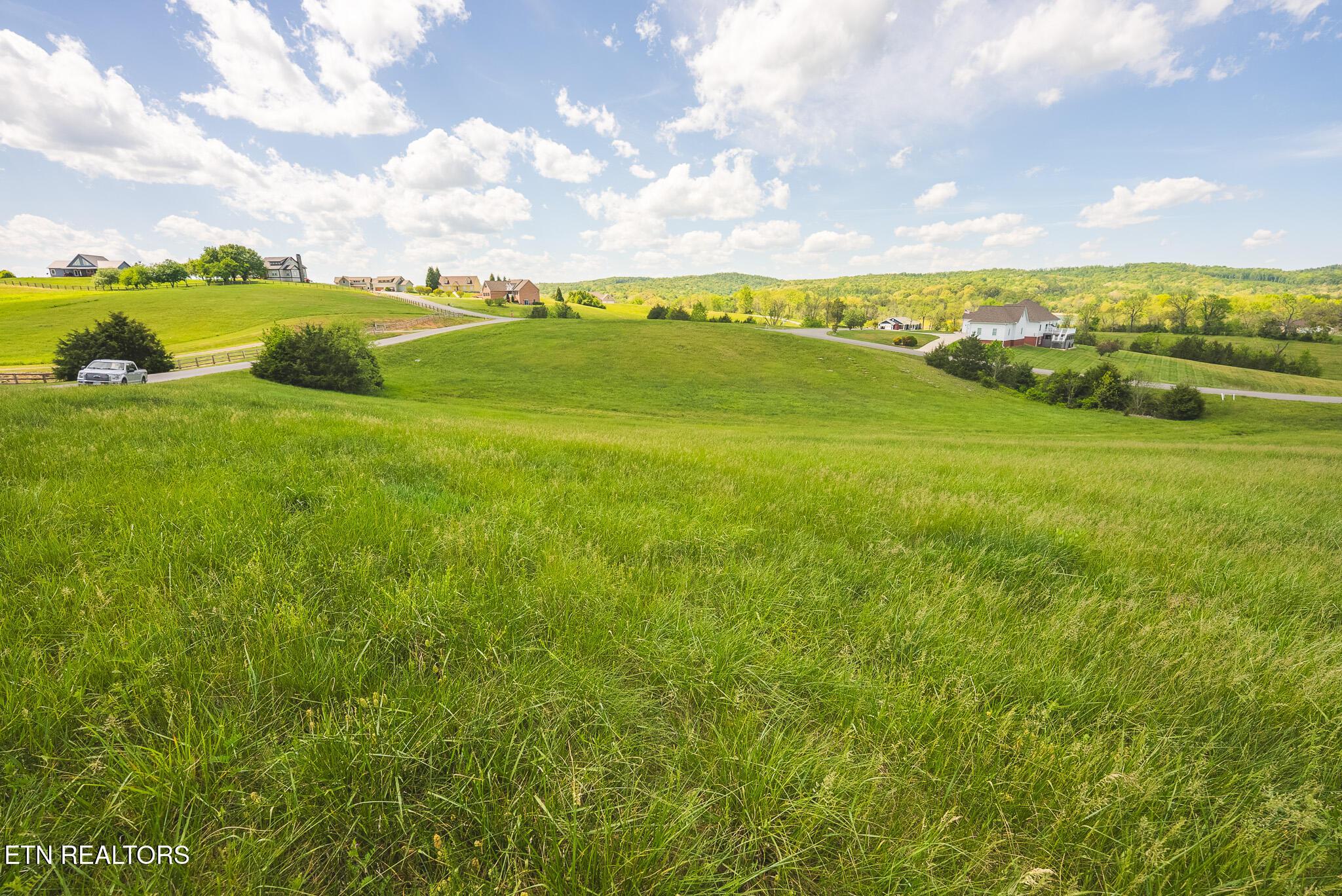 Norris Lake Real Estate - Image# 13