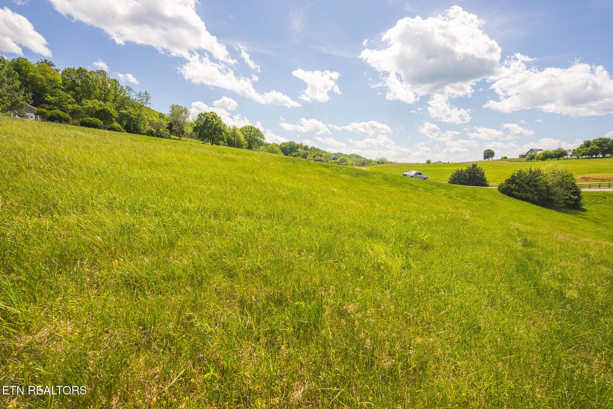 Norris Lake Real Estate - Image# 14