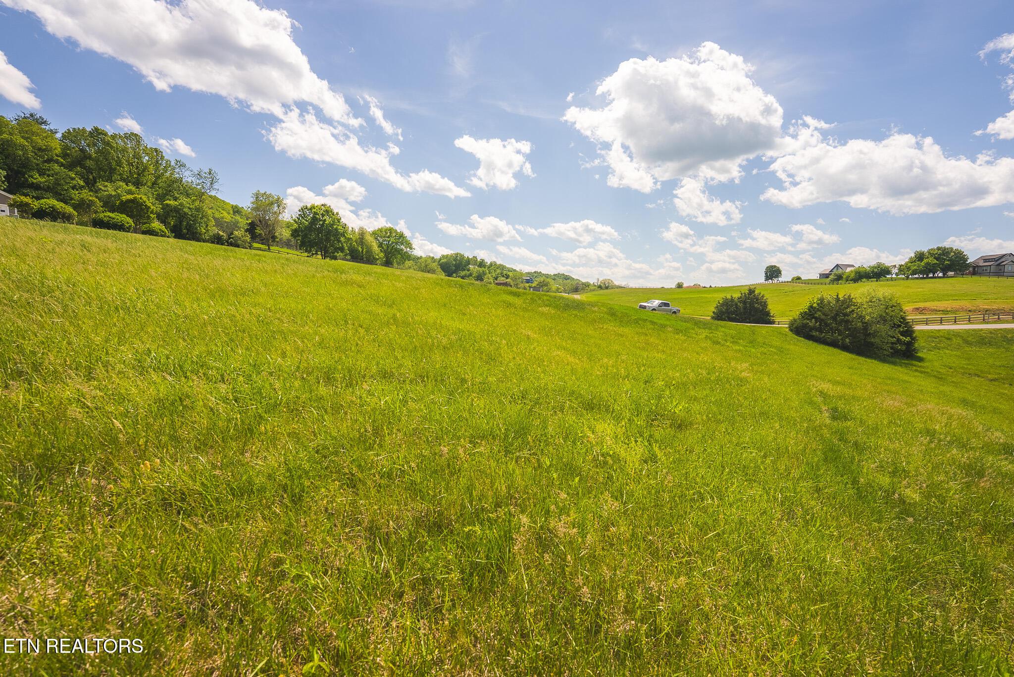 Norris Lake Real Estate - Image# 15