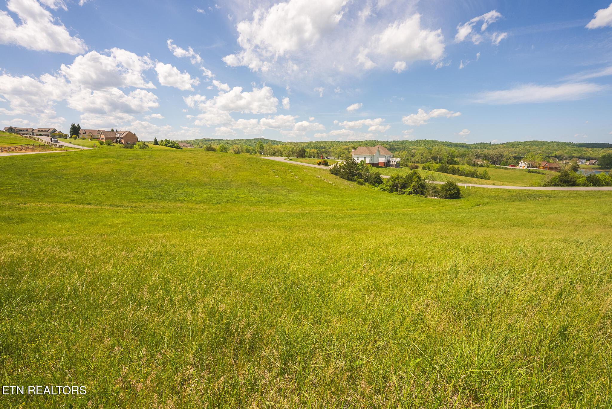 Norris Lake Real Estate - Image# 17