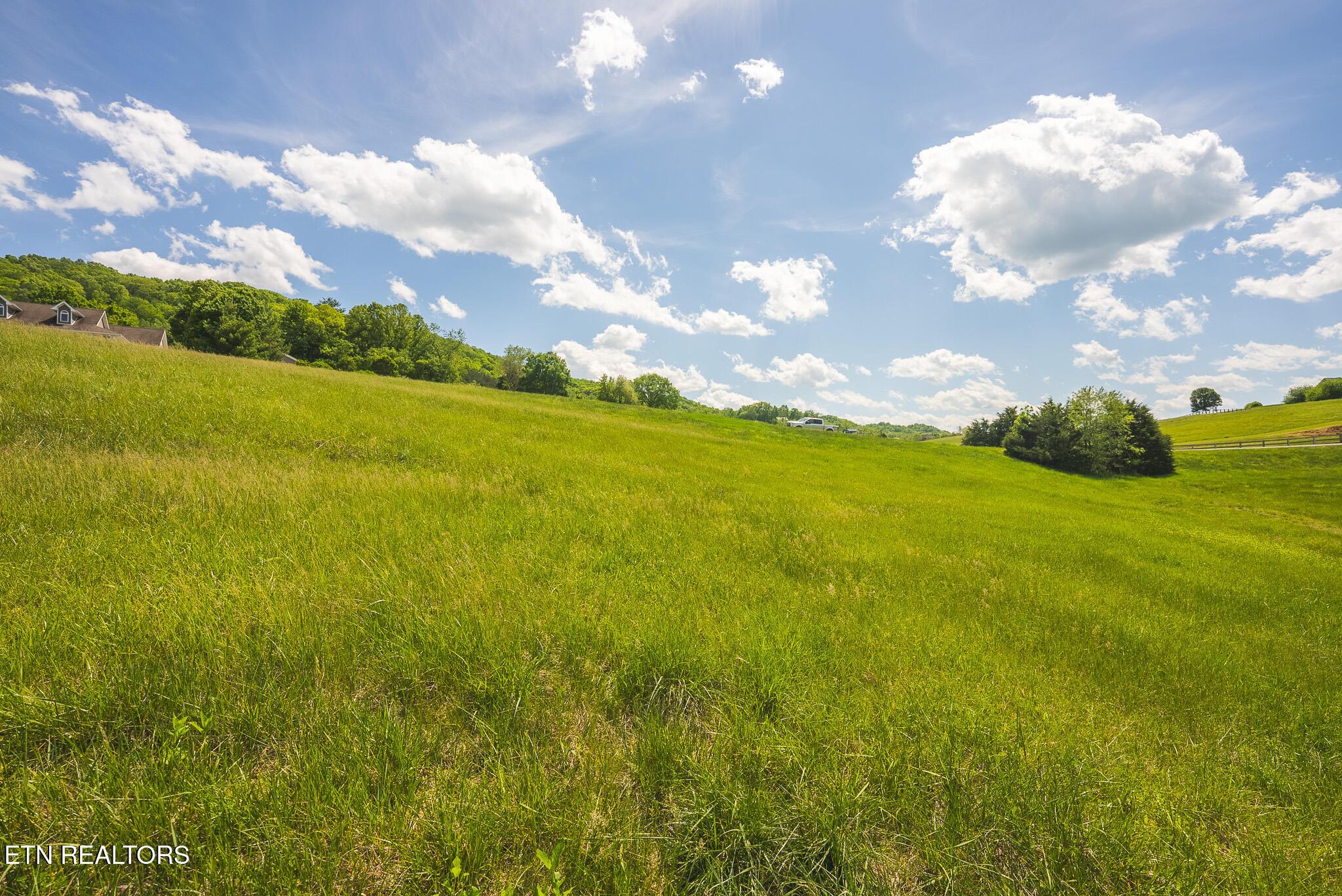 Norris Lake Real Estate - Image# 18