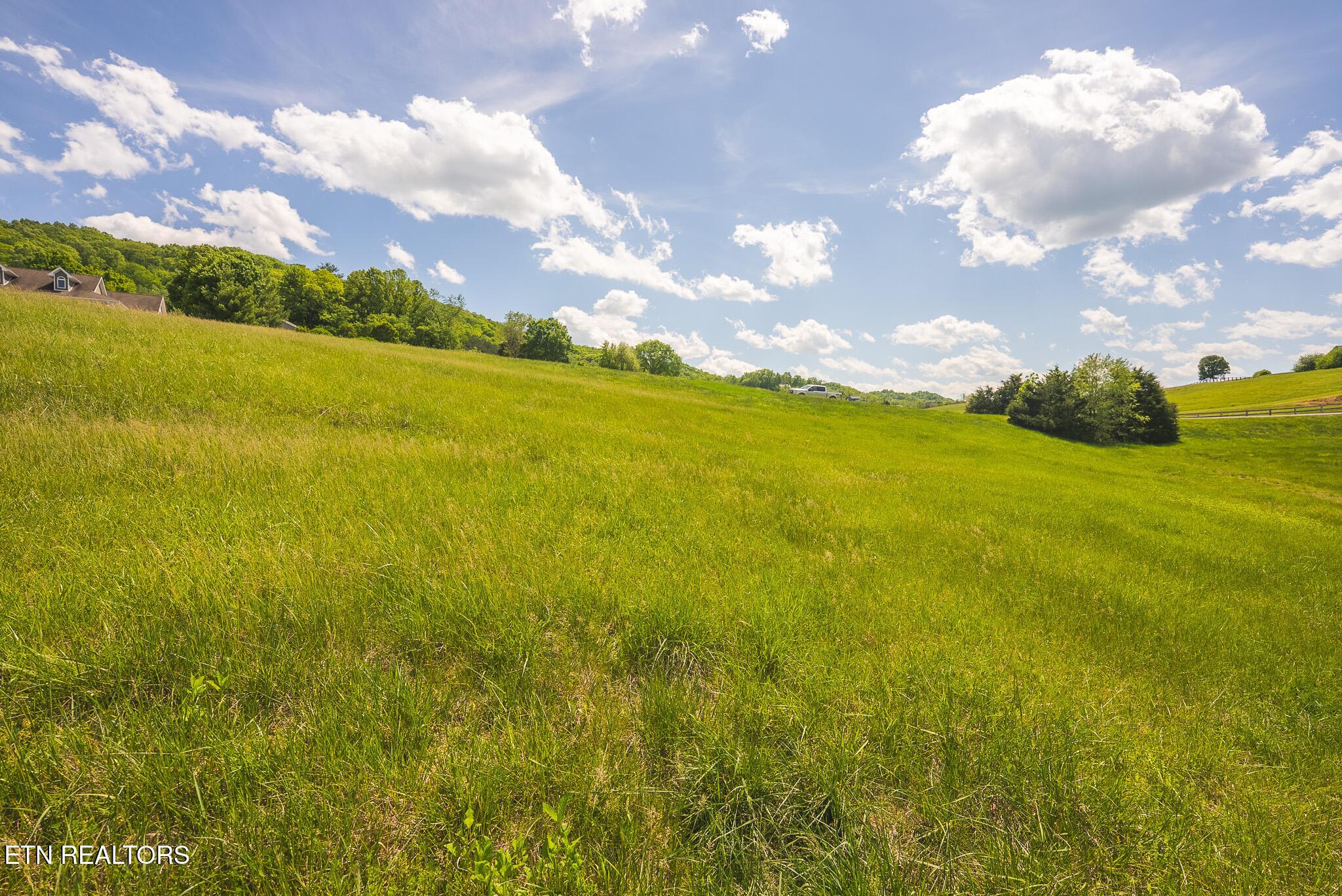 Norris Lake Real Estate - Image# 19