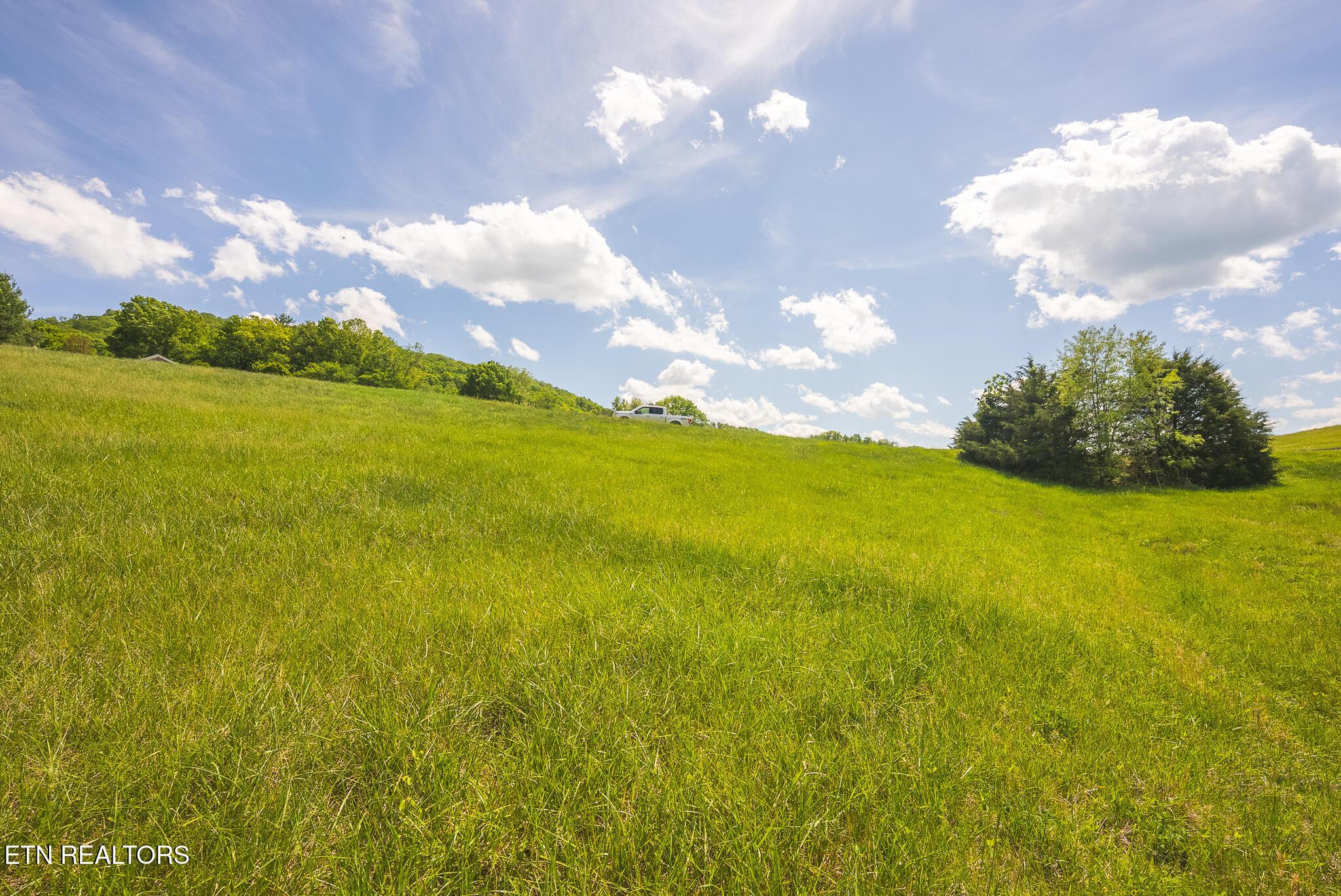 Norris Lake Real Estate - Image# 20