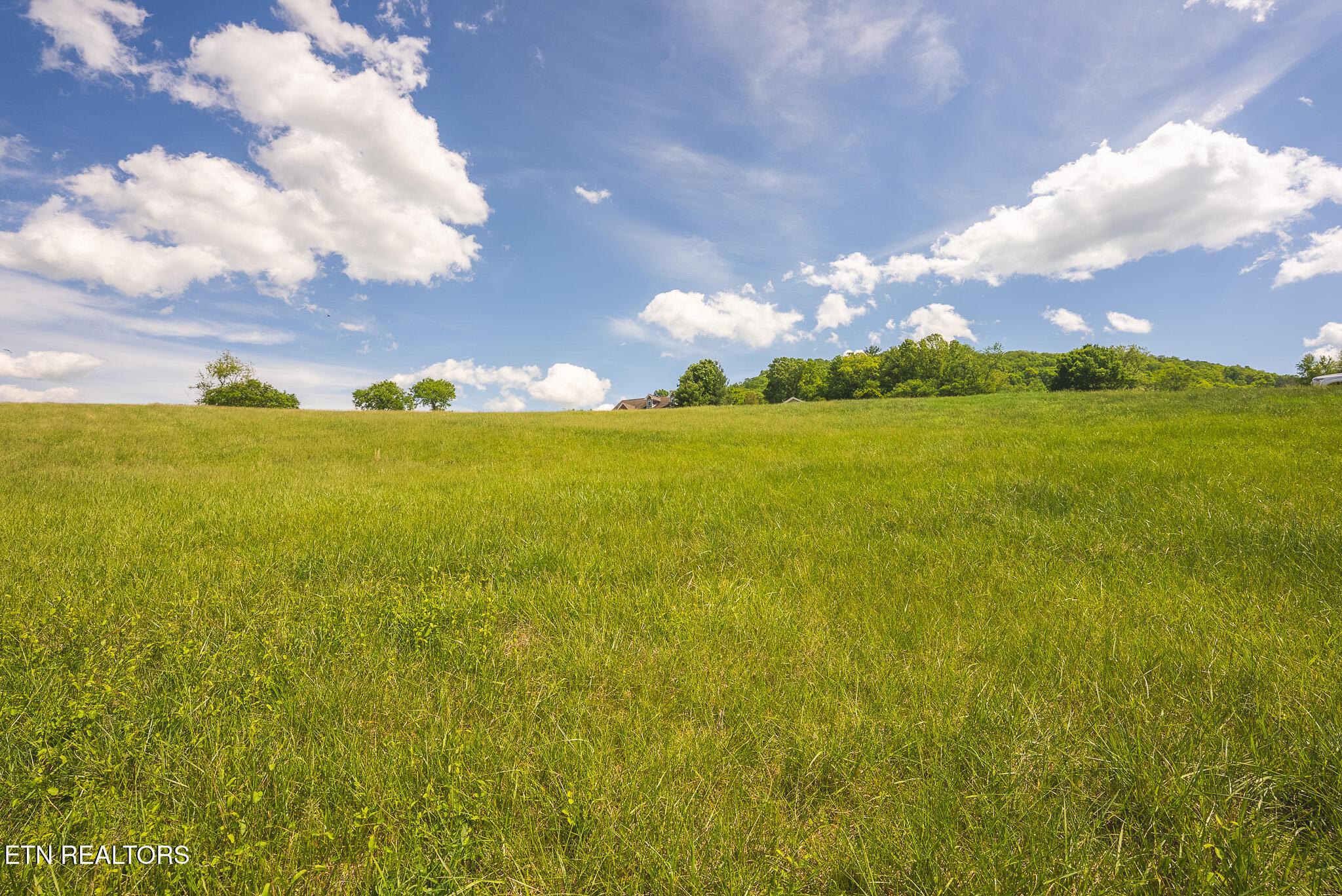 Norris Lake Real Estate - Image# 21