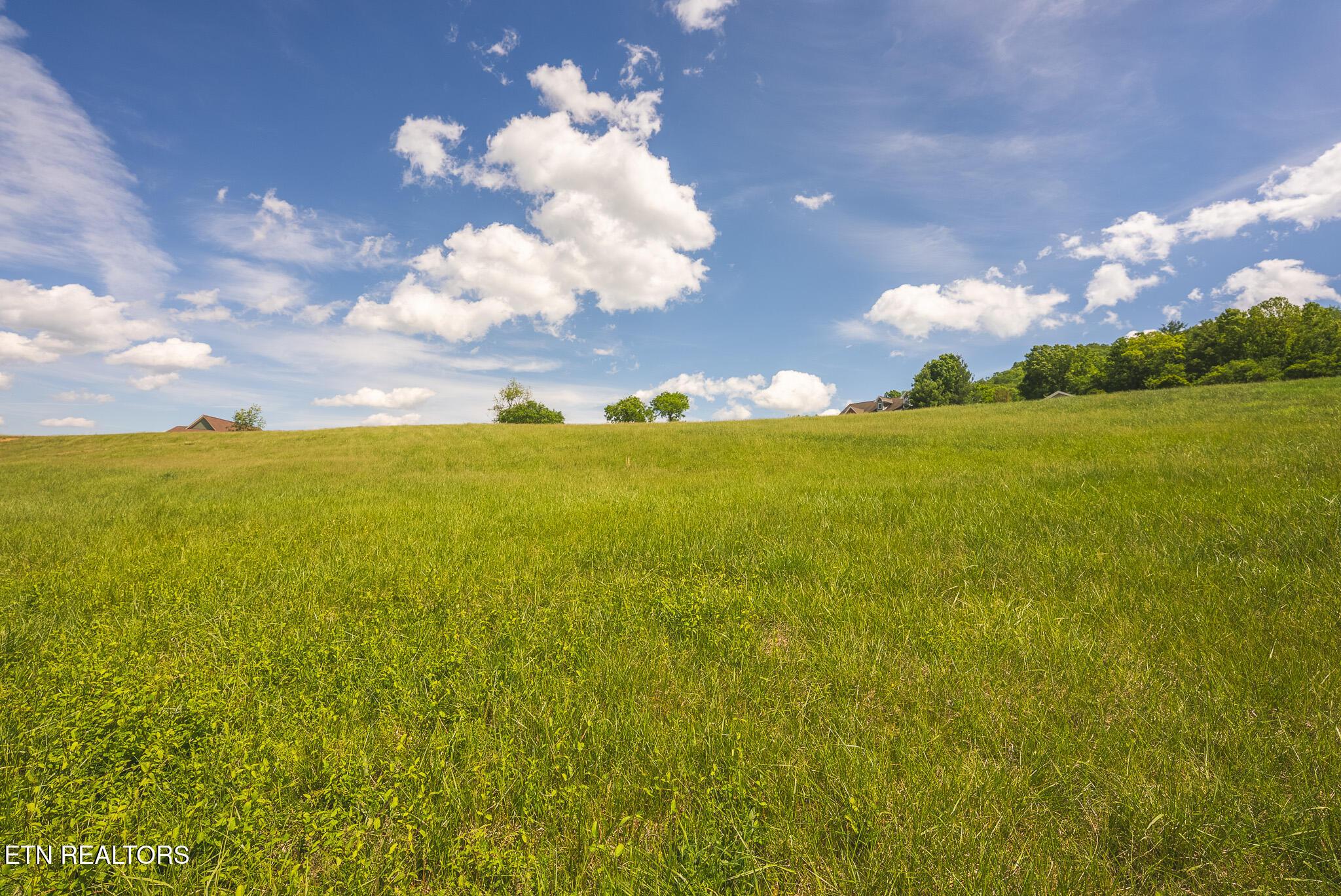 Norris Lake Real Estate - Image# 22