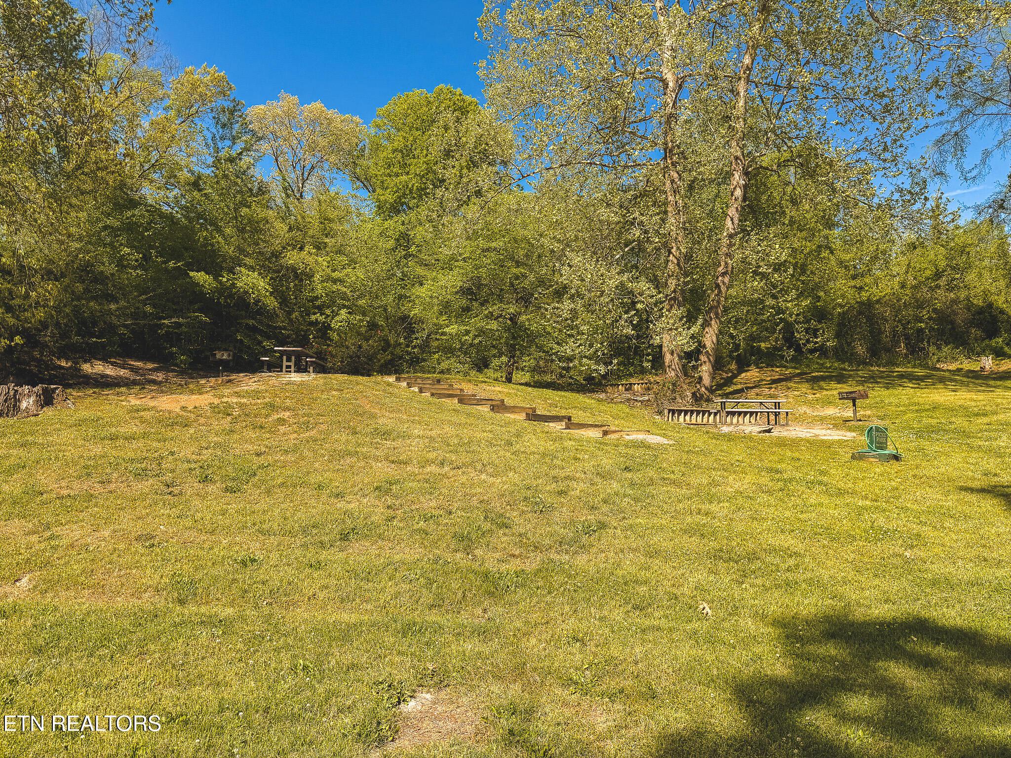 Norris Lake Real Estate - Image# 27