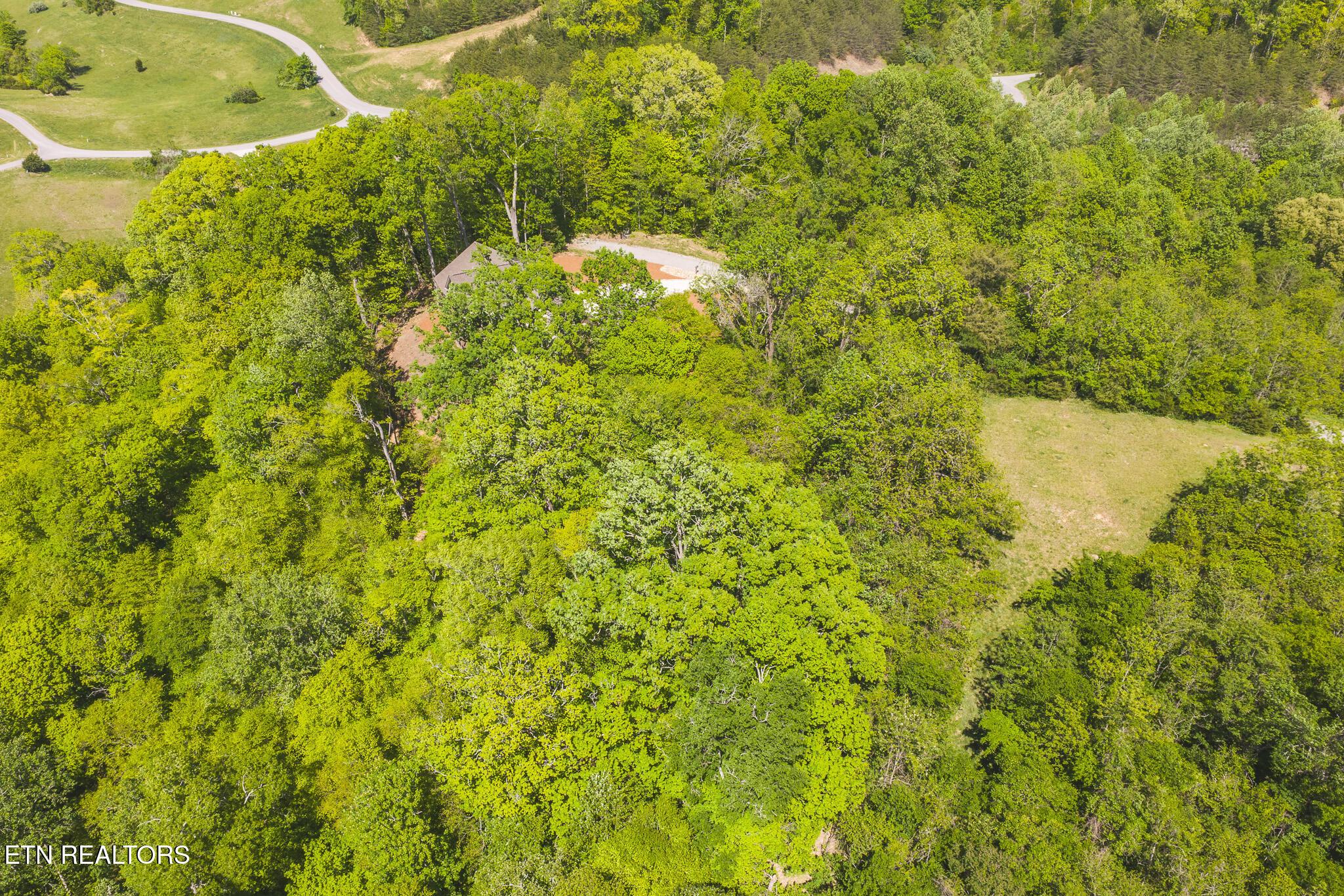 Norris Lake Real Estate - Image# 2