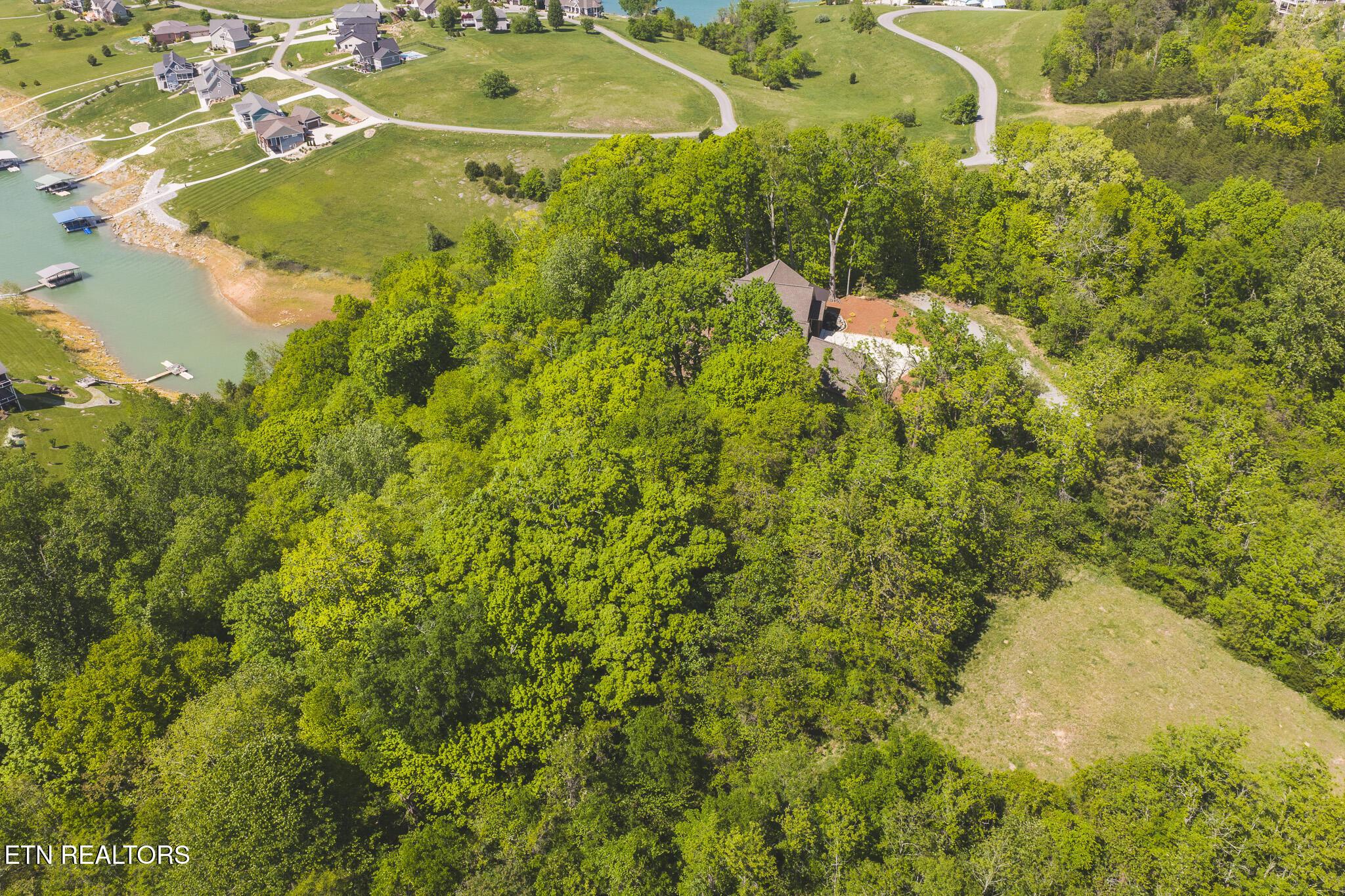 Norris Lake Real Estate - Image# 3