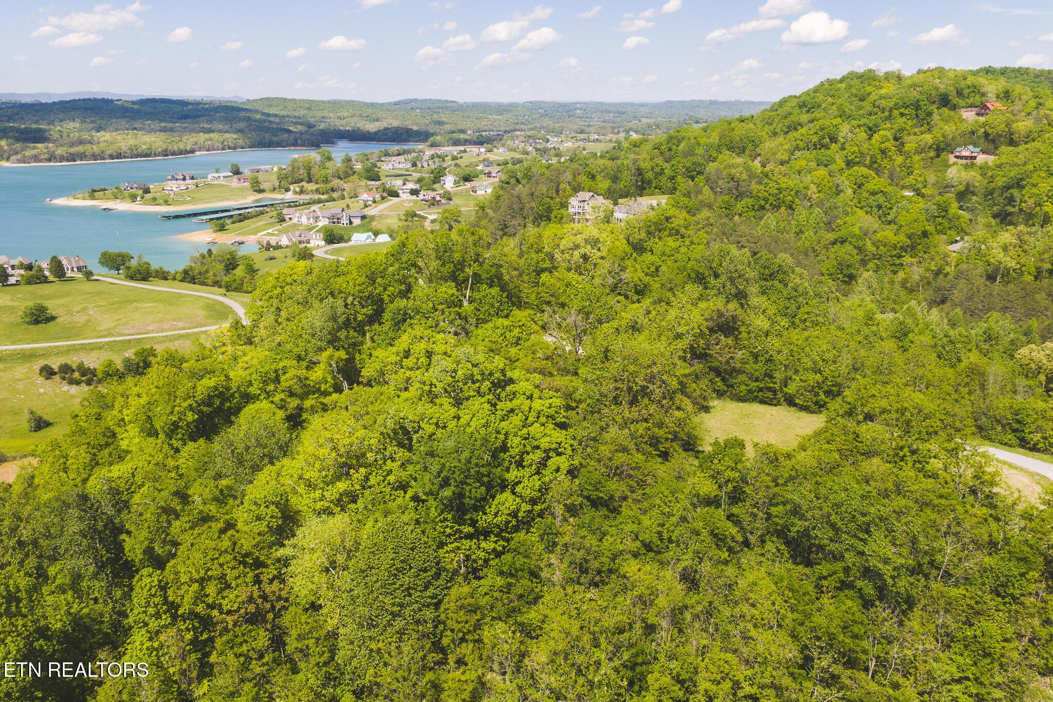 Norris Lake Real Estate - Image# 4