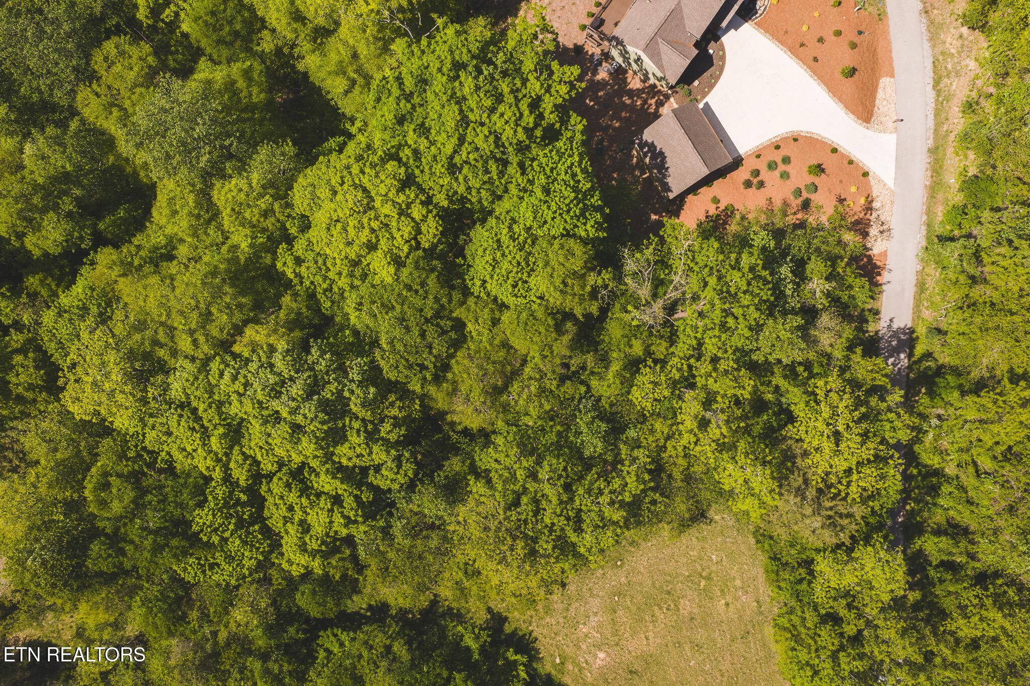 Norris Lake Real Estate - Image# 6