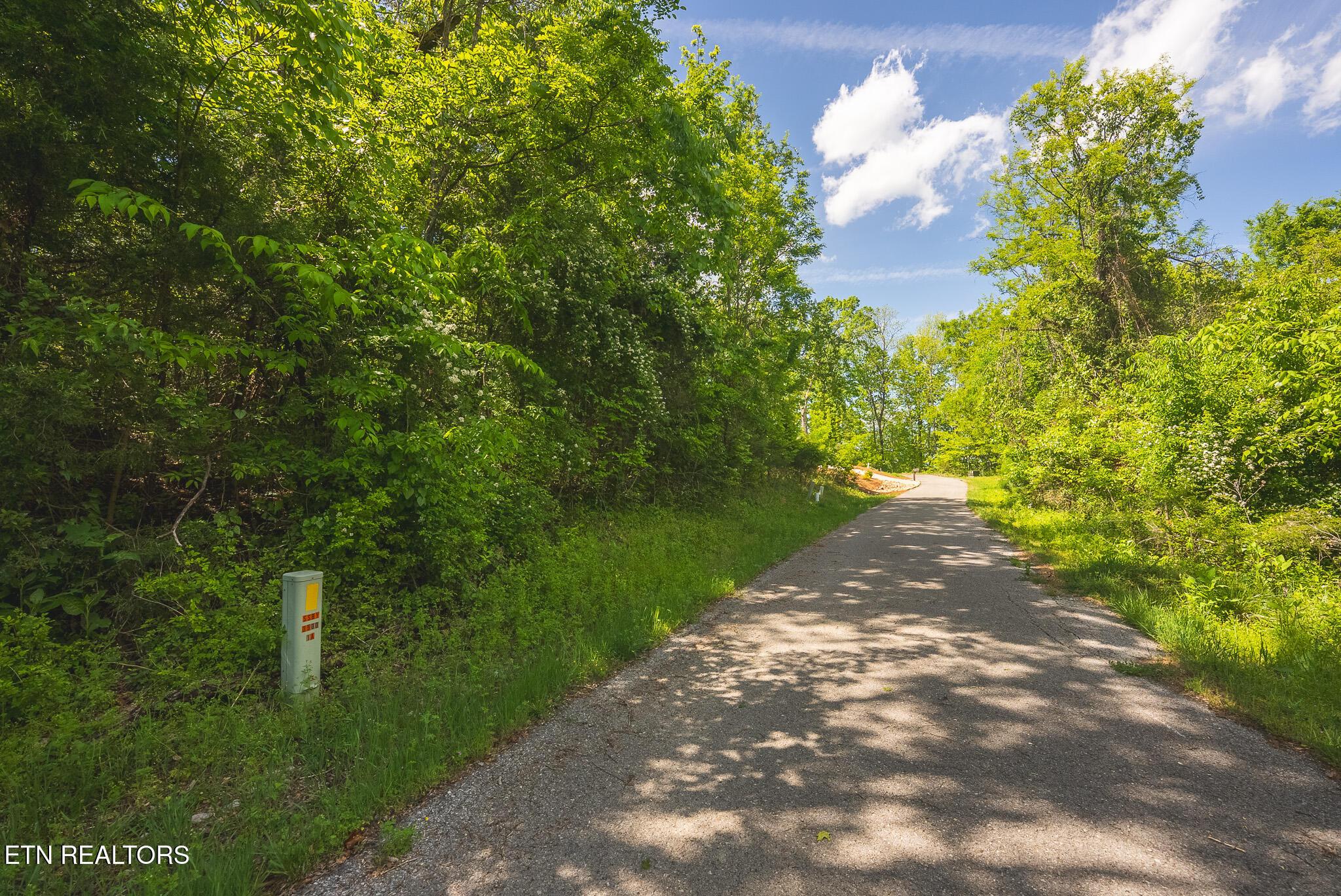 Norris Lake Real Estate - Image# 7