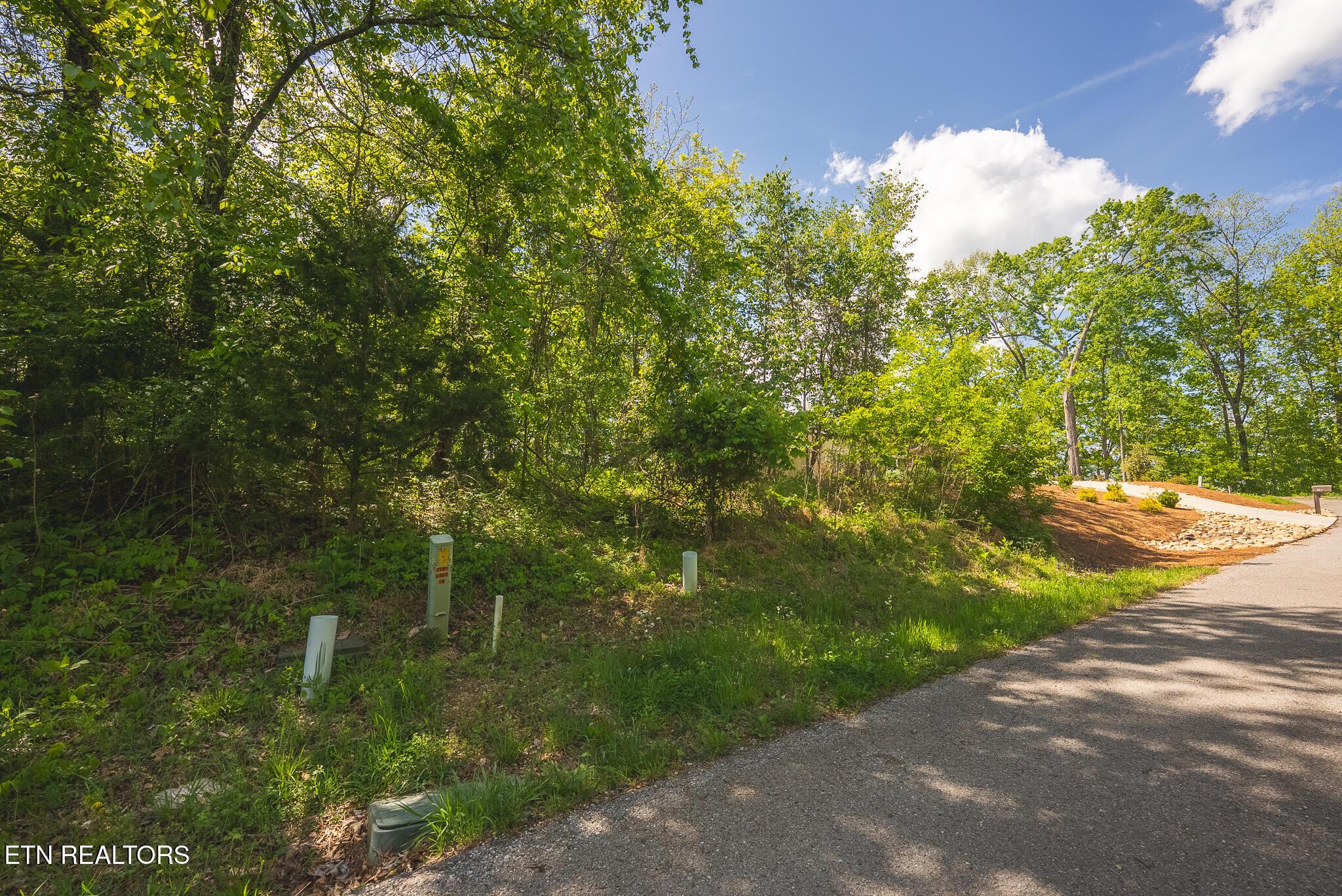 Norris Lake Real Estate - Image# 8