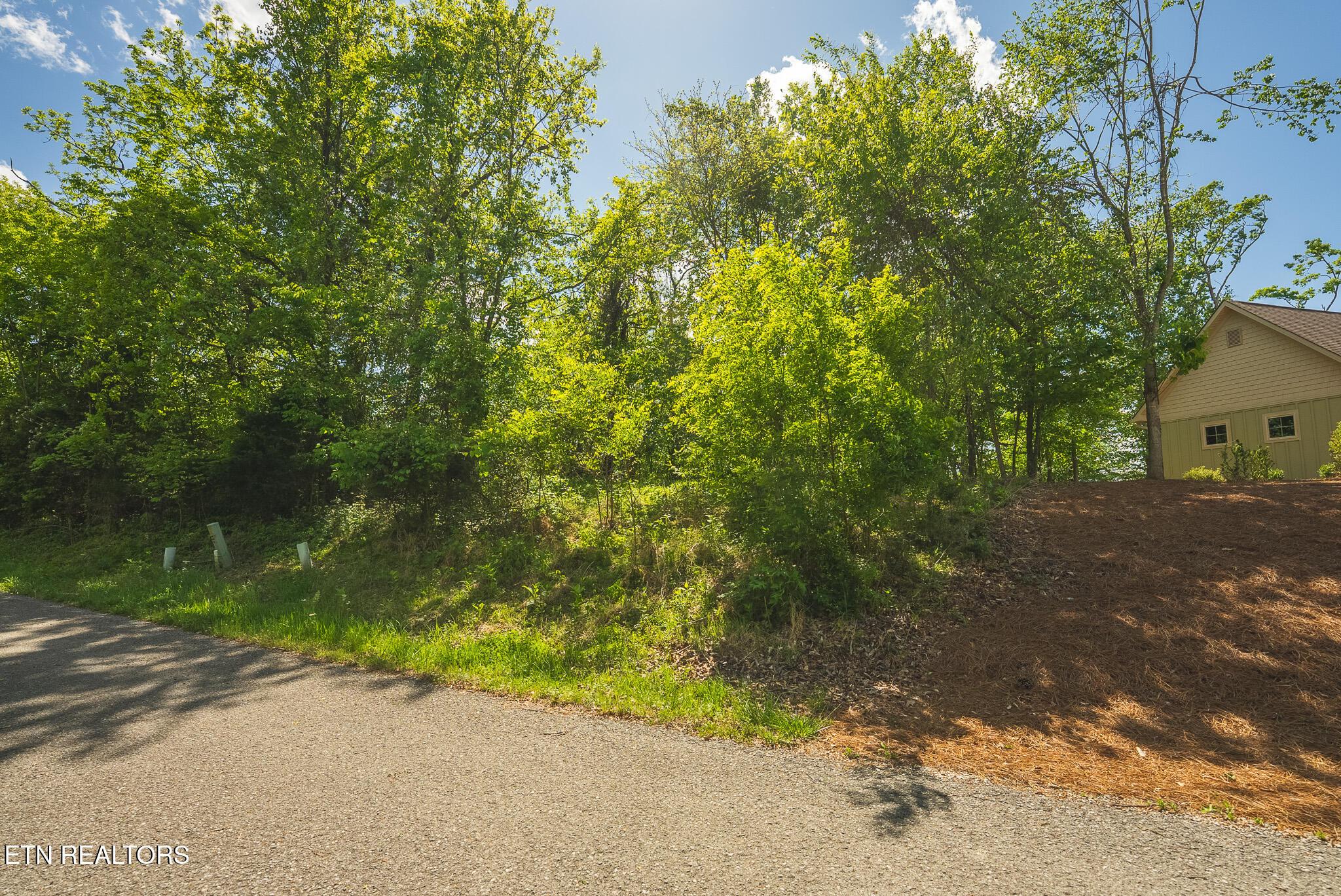 Norris Lake Real Estate - Image# 9