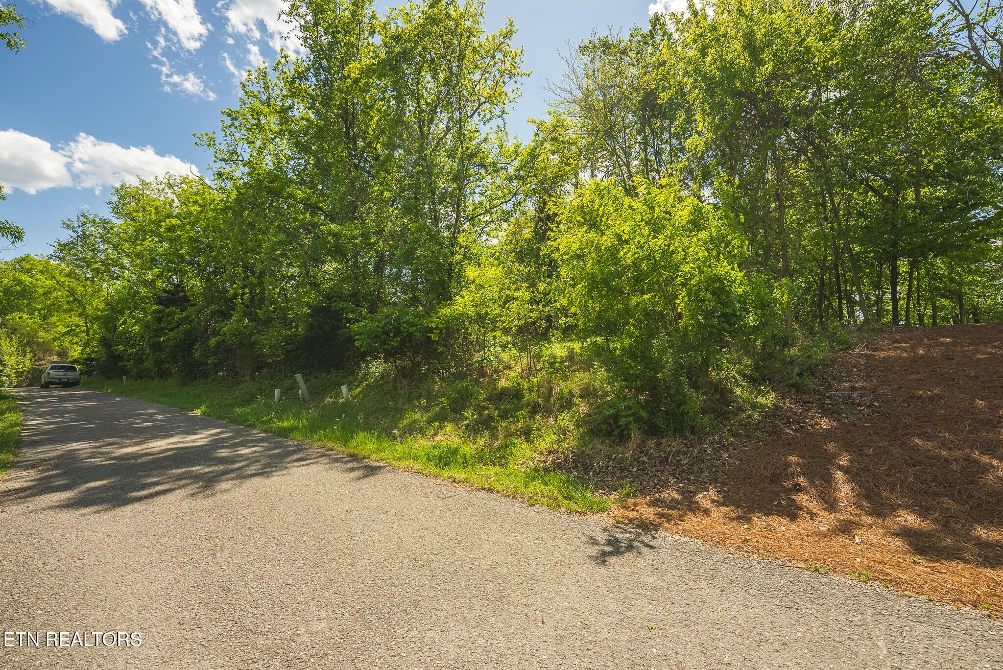 Norris Lake Real Estate - Image# 10