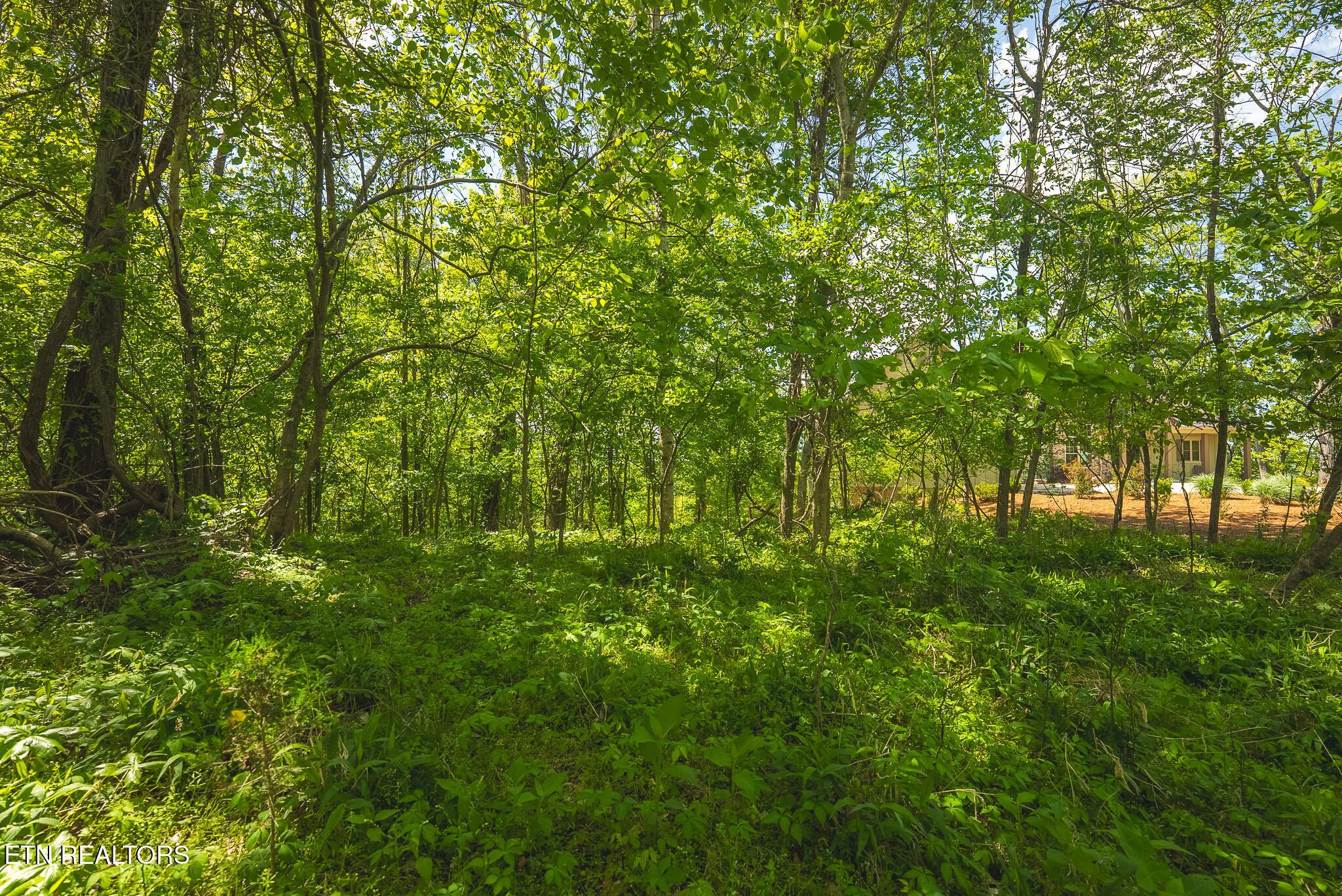 Norris Lake Real Estate - Image# 12