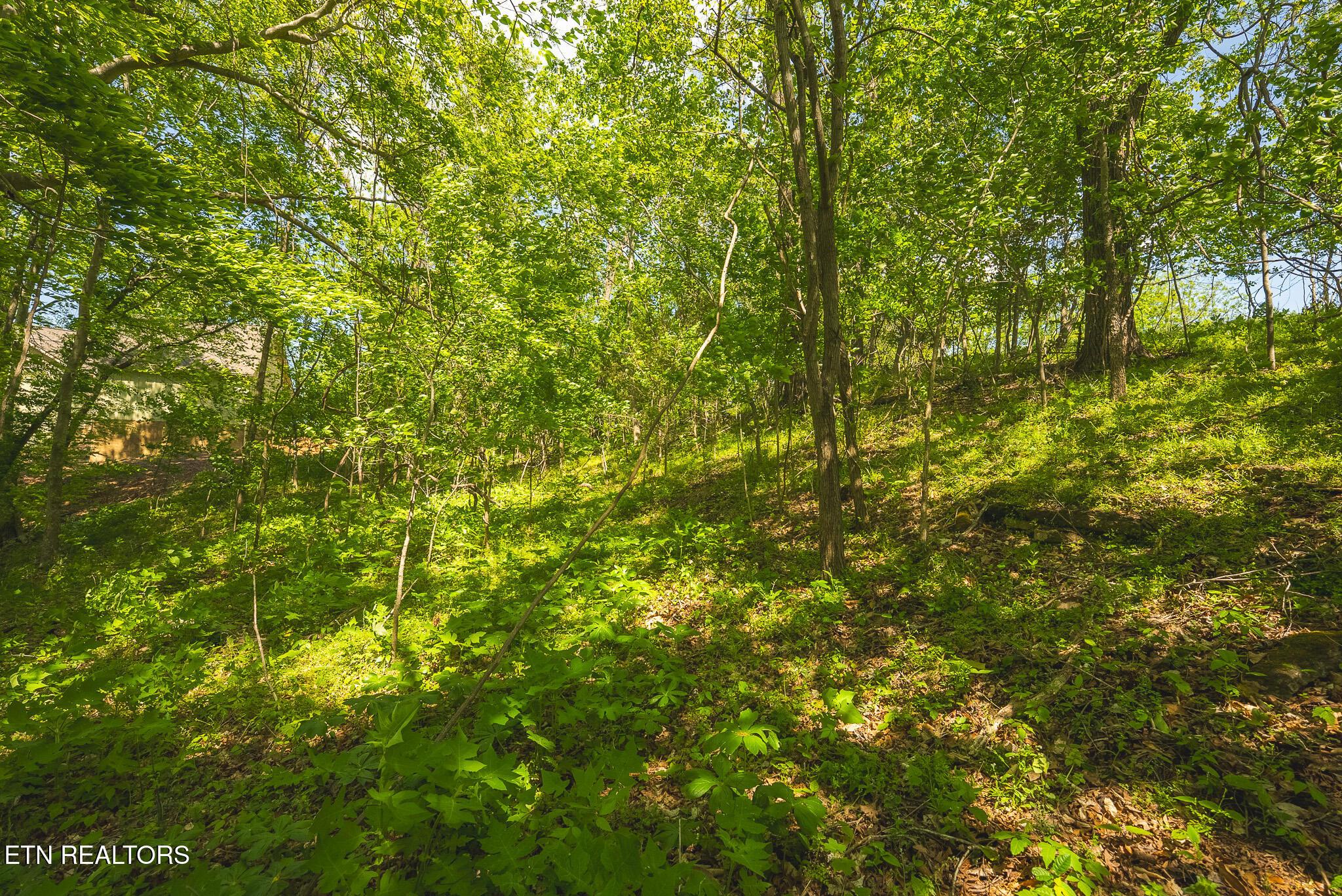 Norris Lake Real Estate - Image# 17