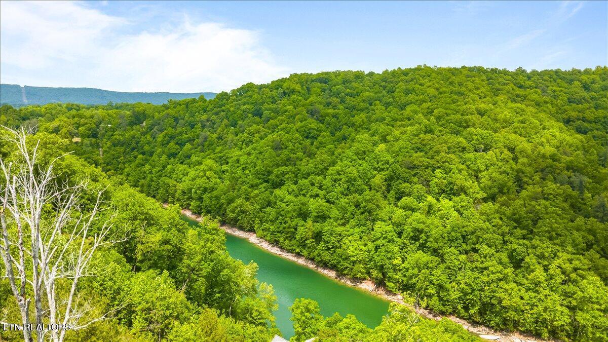 230 Foxwood Drive, Caryville, TN - Norris Lake Real Estate - Image# 31