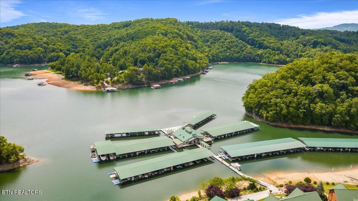 230 Foxwood Drive, Caryville, TN - Norris Lake Real Estate - Image# 36