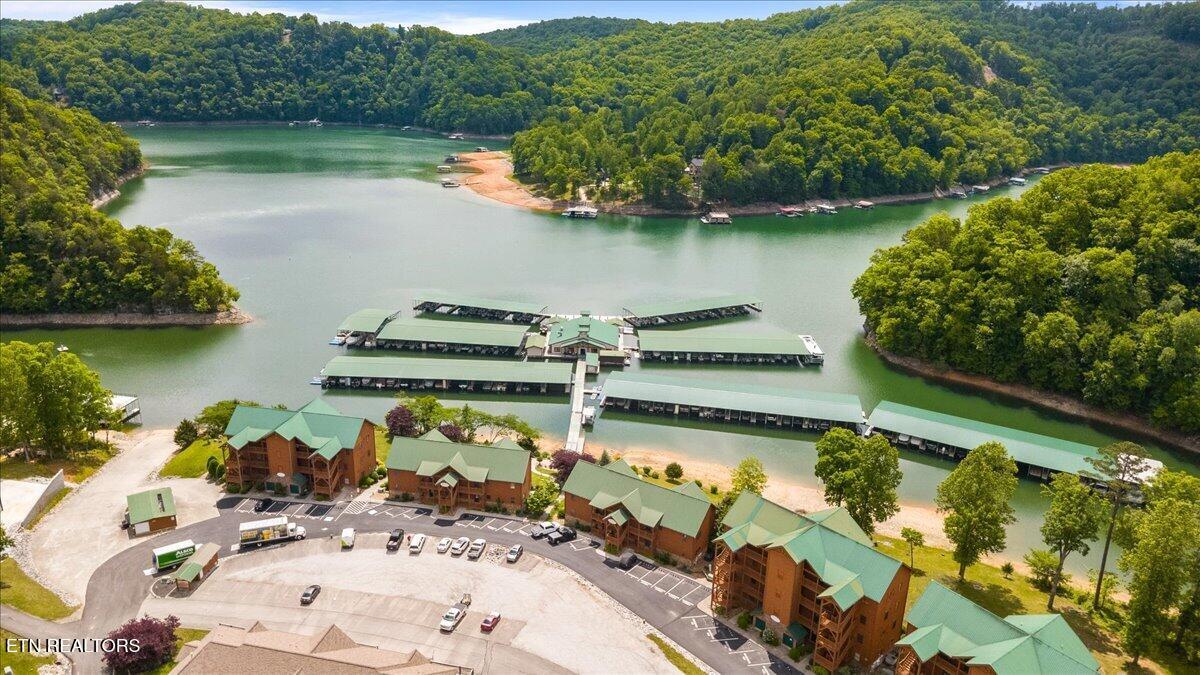 230 Foxwood Drive, Caryville, TN - Norris Lake Real Estate - Image# 2