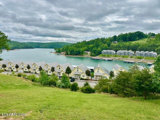 179 N Deer Village Lane, Lafollette, TN - Norris Lake Real Estate - Image# 29
