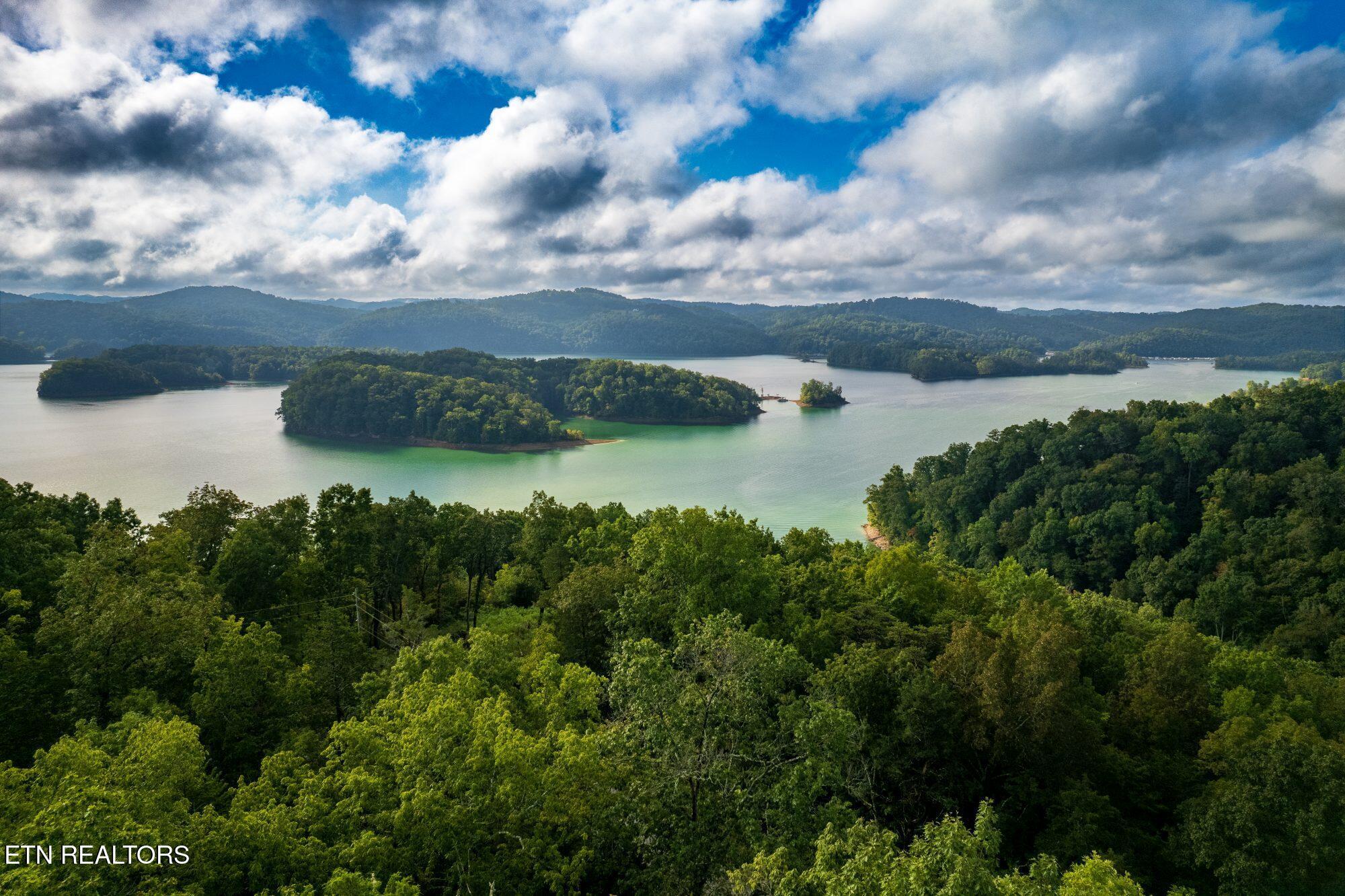 Norris Lake Real Estate - Image# 2