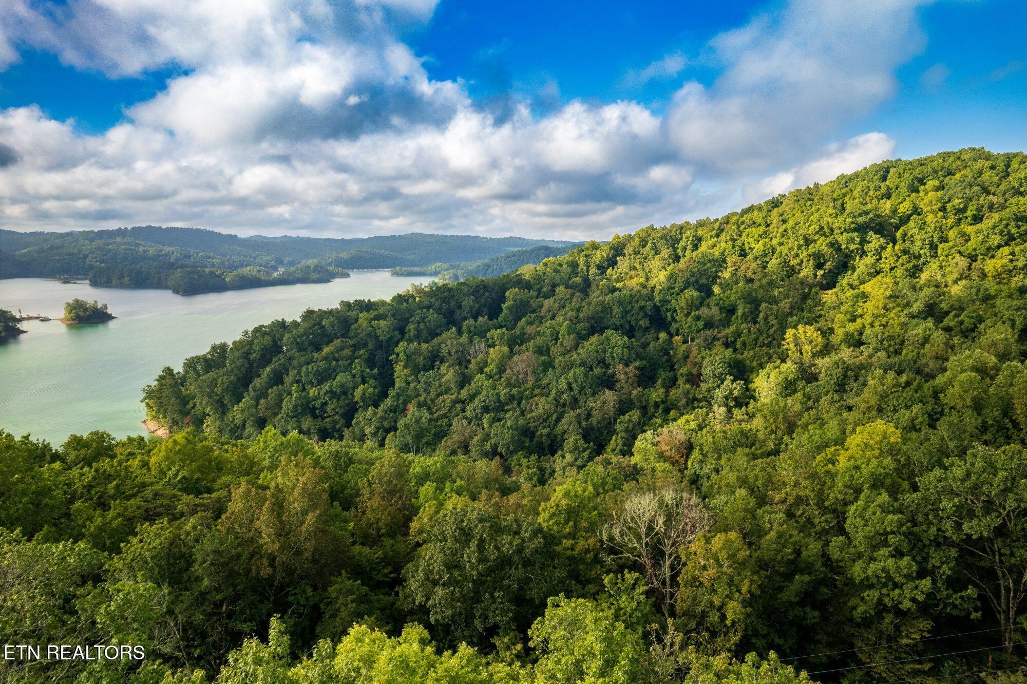 Norris Lake Real Estate - Image# 3