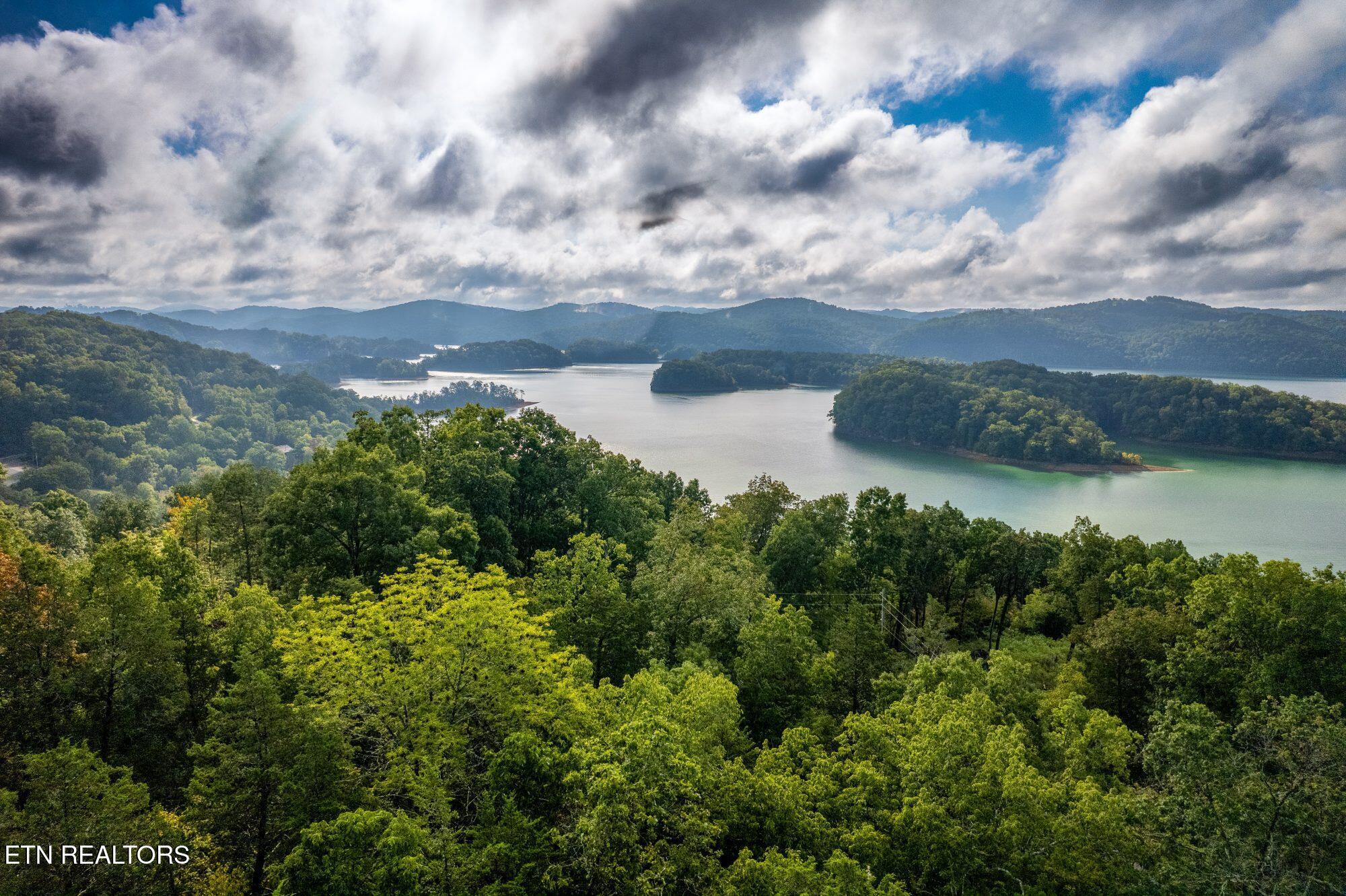 Norris Lake Real Estate - Image# 4