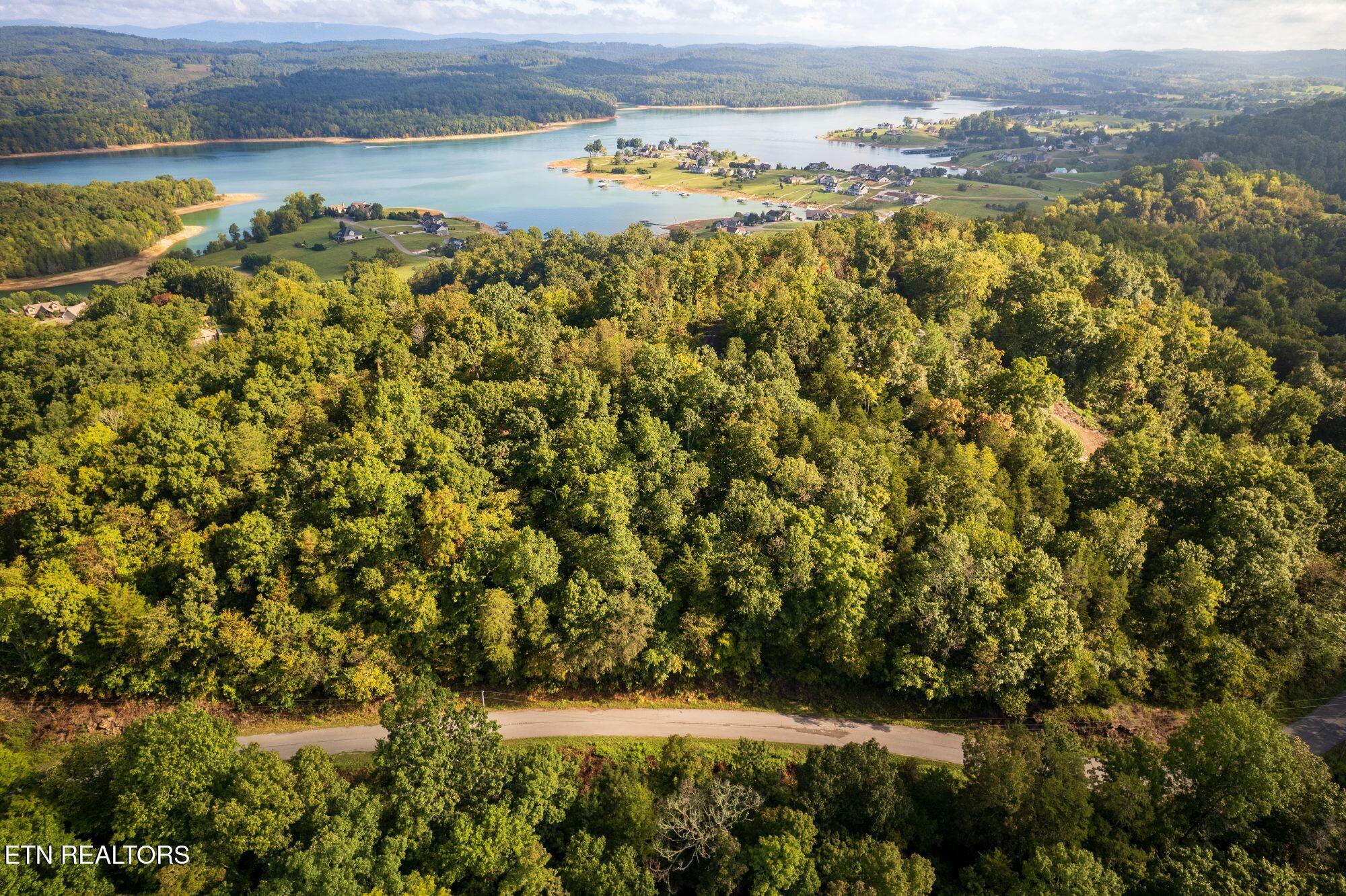 Norris Lake Real Estate - Image# 5