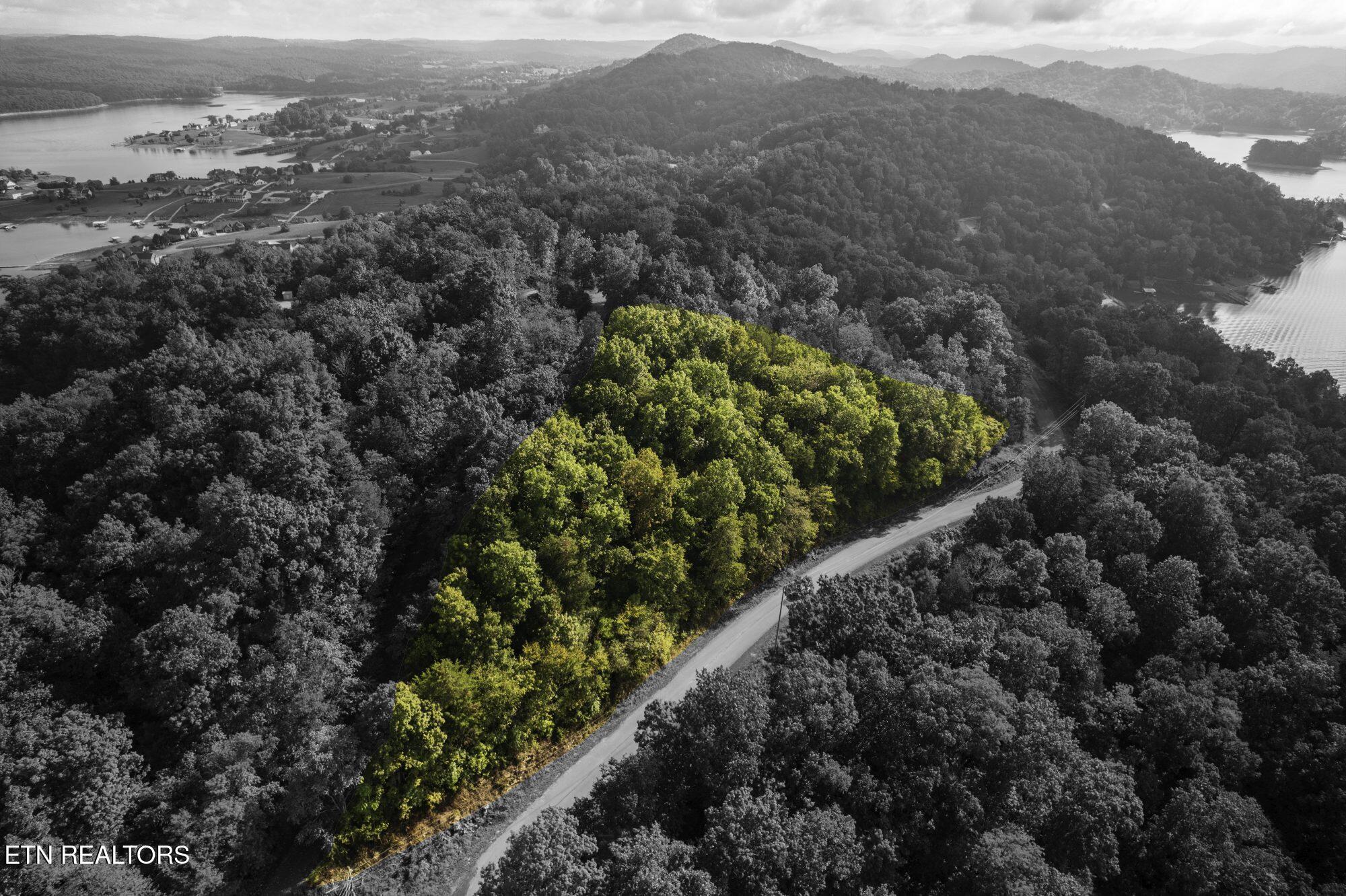 Norris Lake Real Estate - Image# 6