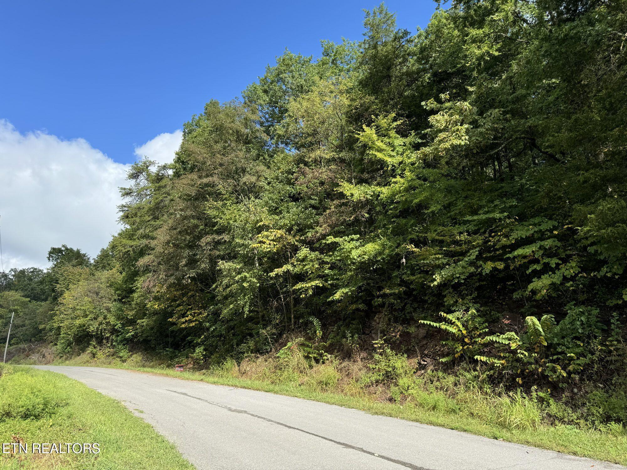 Norris Lake Real Estate - Image# 8