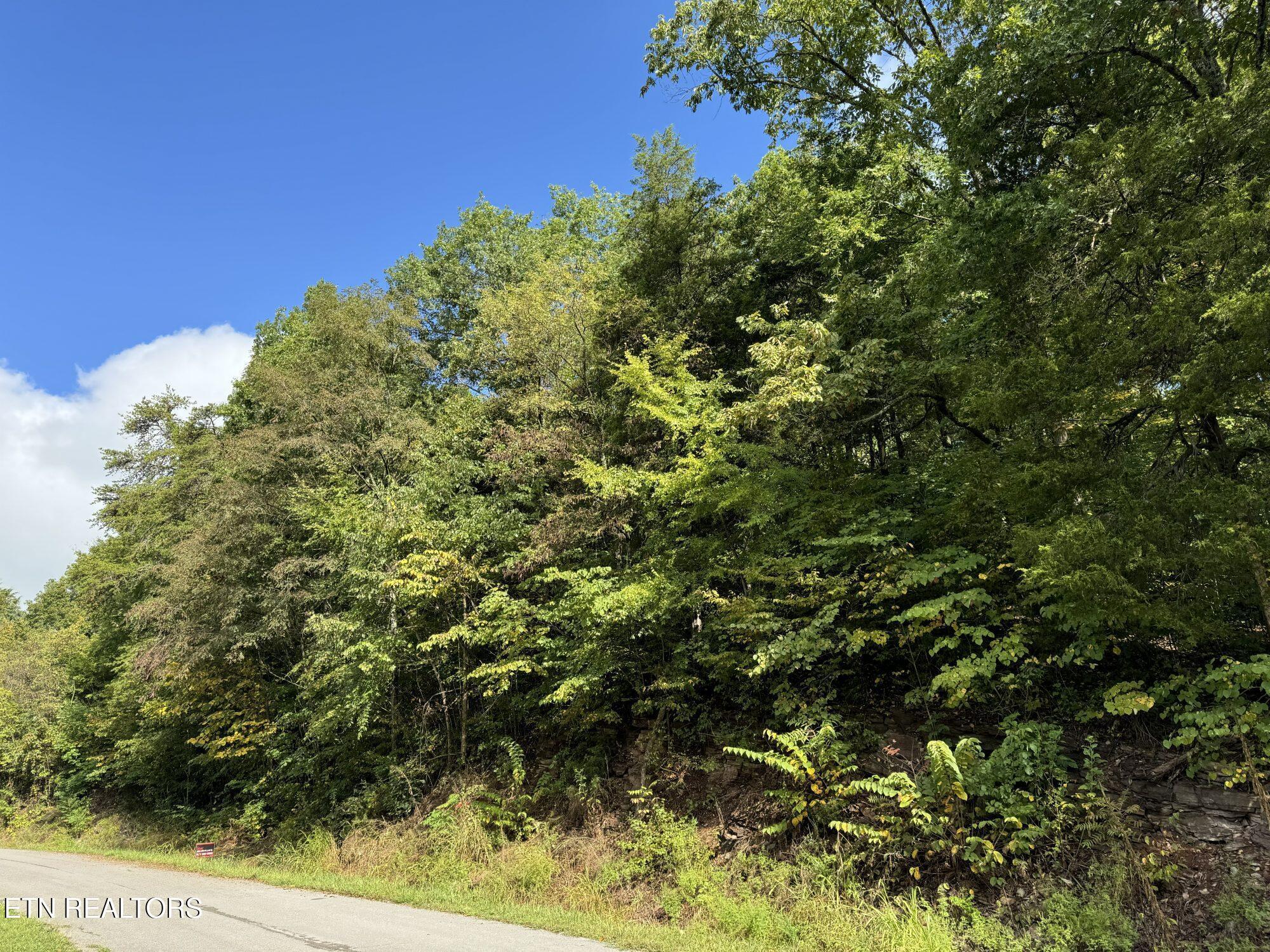 Norris Lake Real Estate - Image# 9