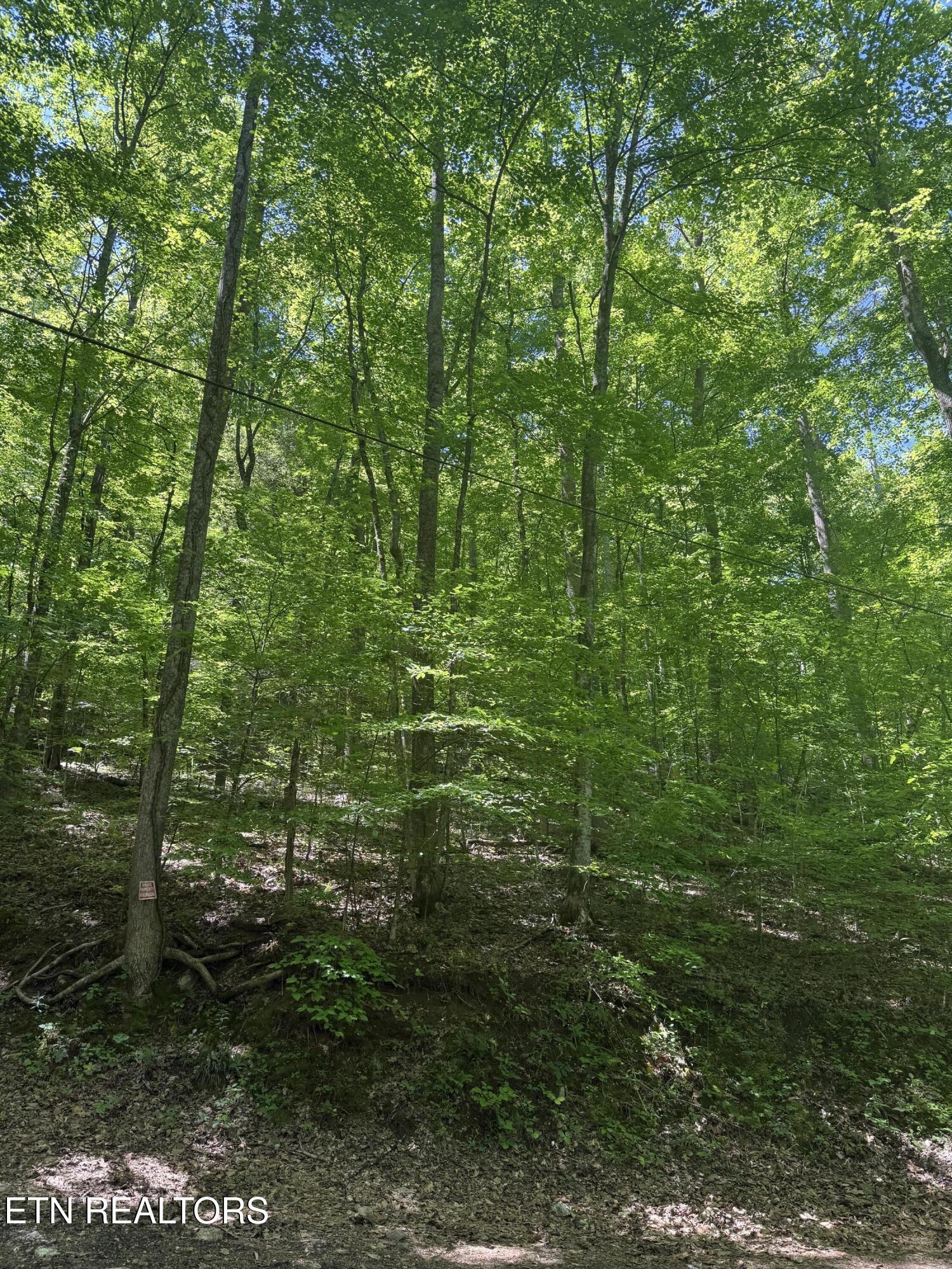 Norris Lake Real Estate - Image# 2