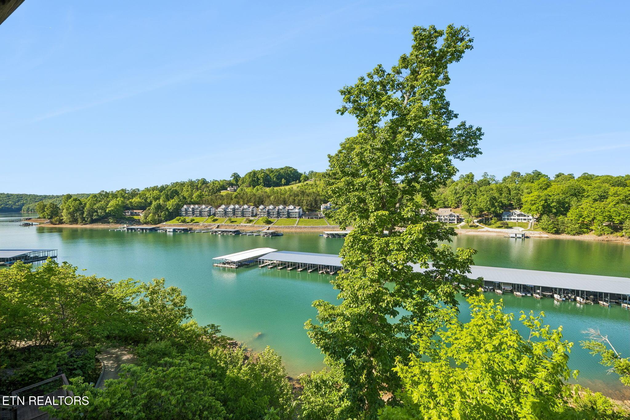 185 W Deer Village Lane, Lafollette, TN - Norris Lake Real Estate - Image# 42