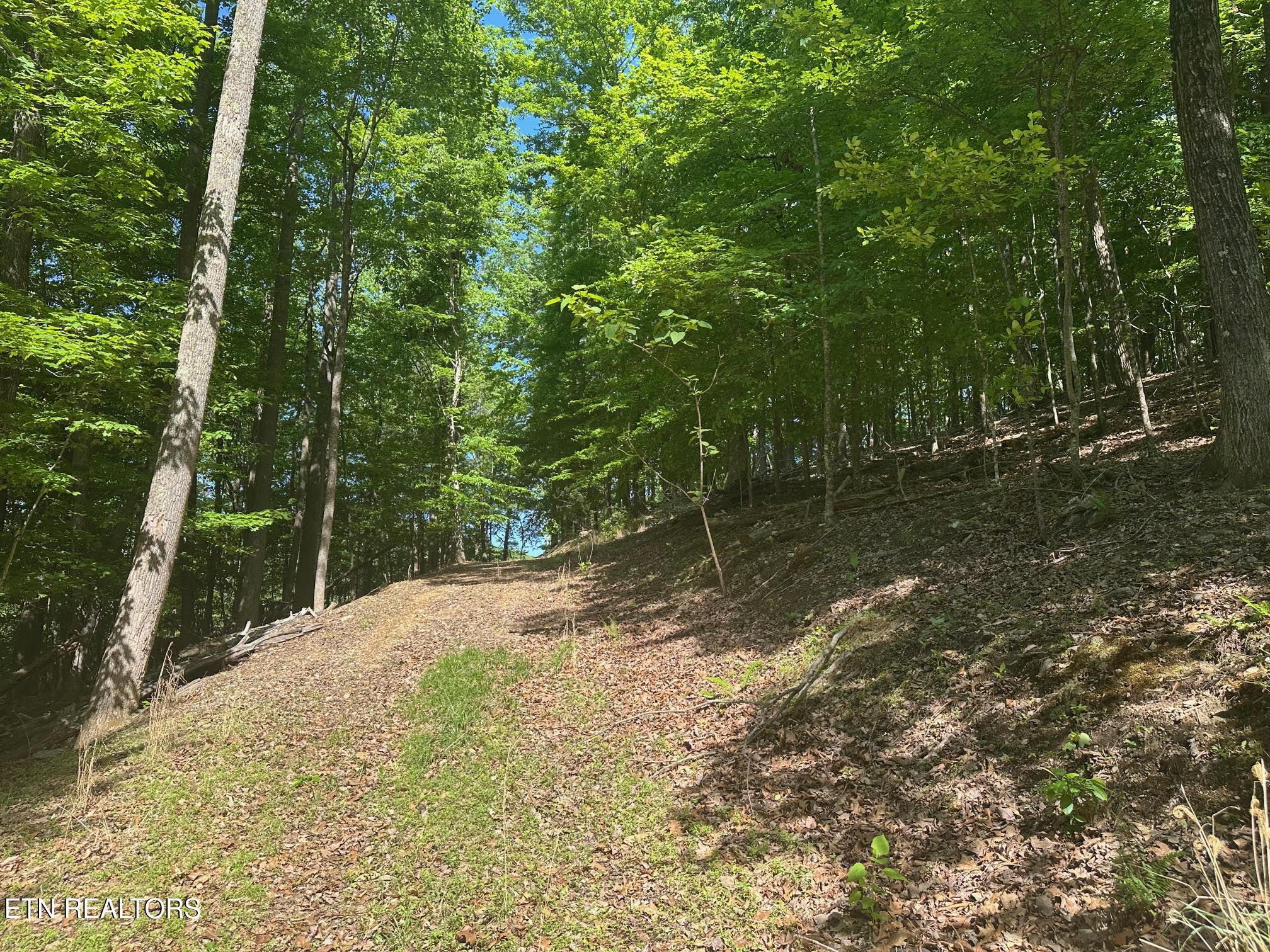 Norris Lake Real Estate - Image# 3